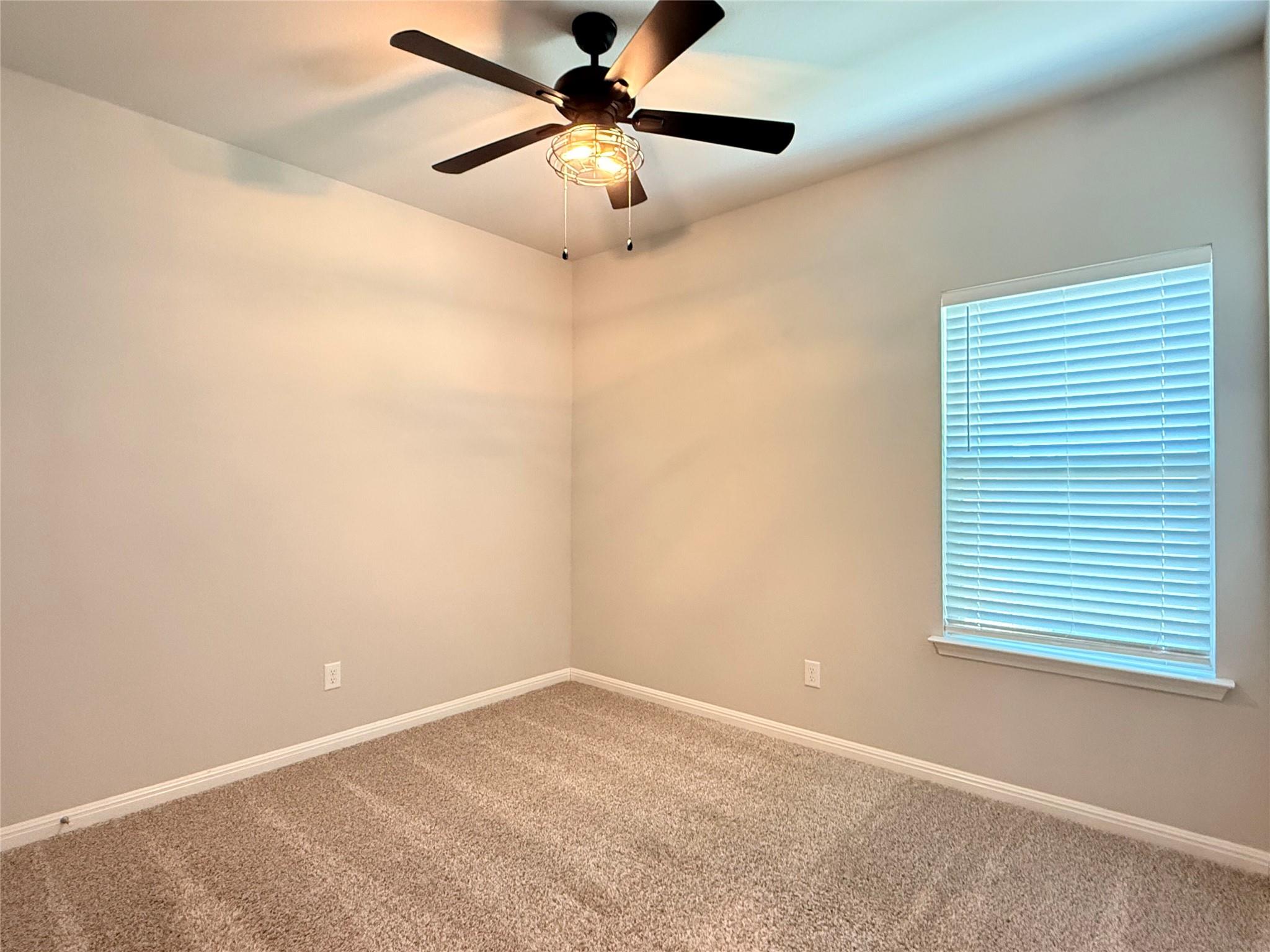 244 Wild Wind Trl, Jarrell, TX 76537