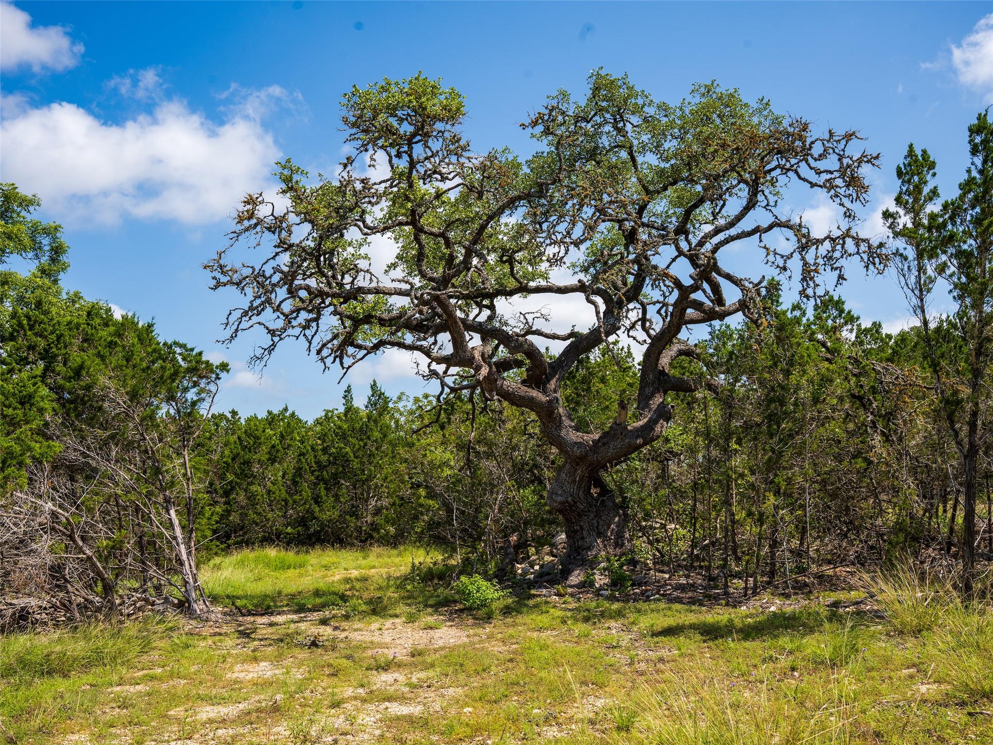000 Oak Valley Rnch, Dripping Springs, TX 78676