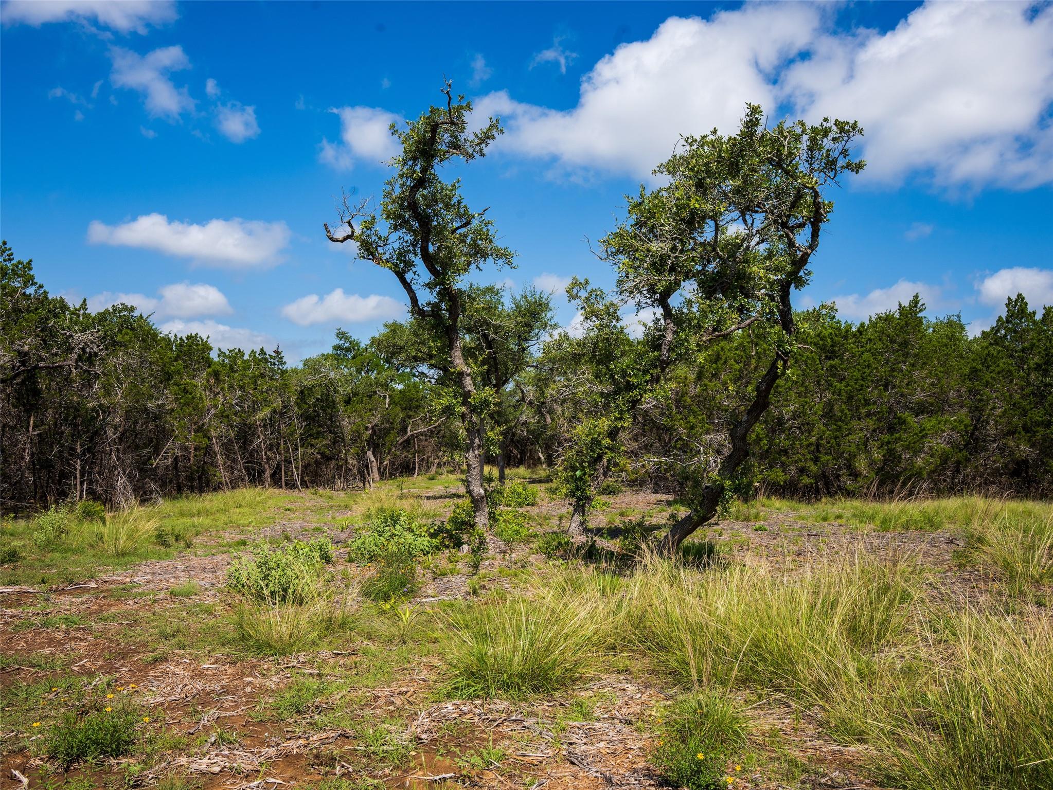 000 Oak Valley Rnch, Dripping Springs, TX 78676