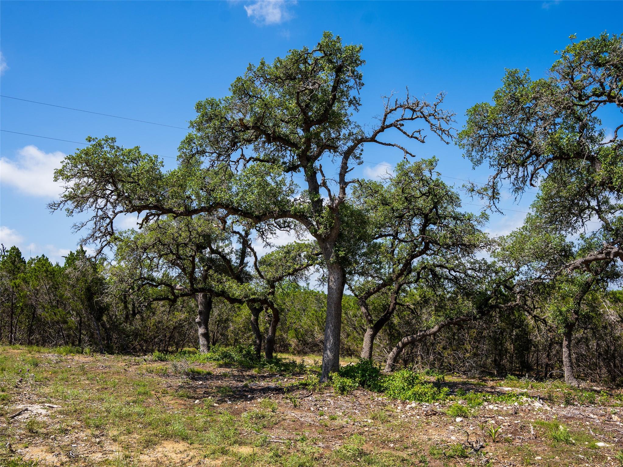 000 Oak Valley Rnch, Dripping Springs, TX 78676