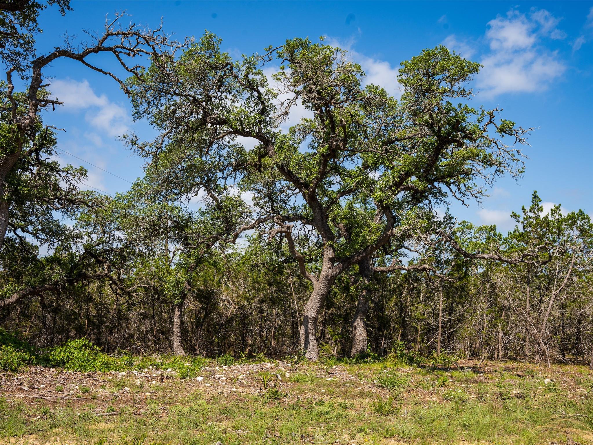 000 Oak Valley Rnch, Dripping Springs, TX 78676