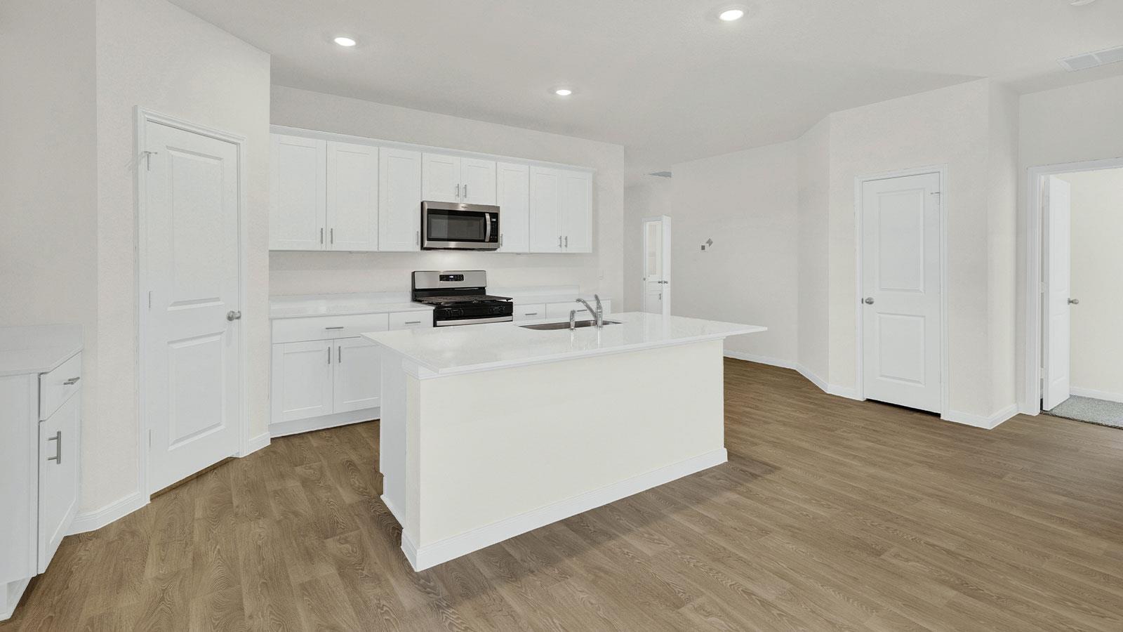 298 DENALI Dr, Kyle, TX 78640