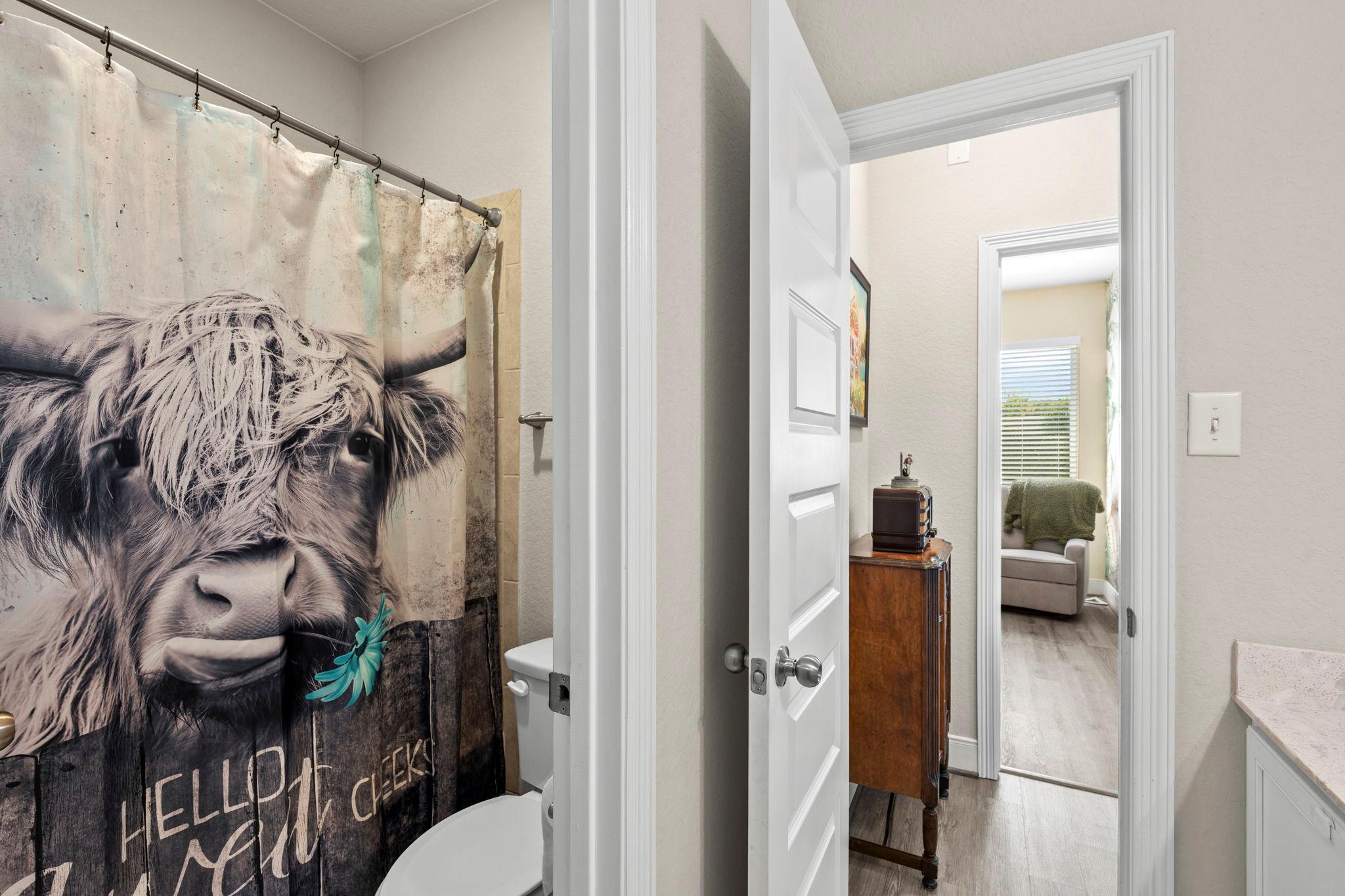 3065 Nister, New Braunfels, TX 78130