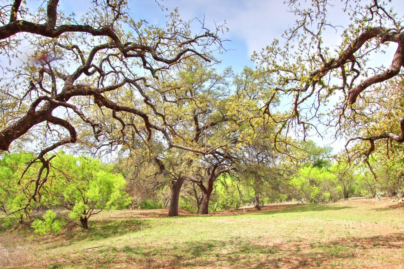 TBD County Road 110 Rd, Burnet, TX 78611