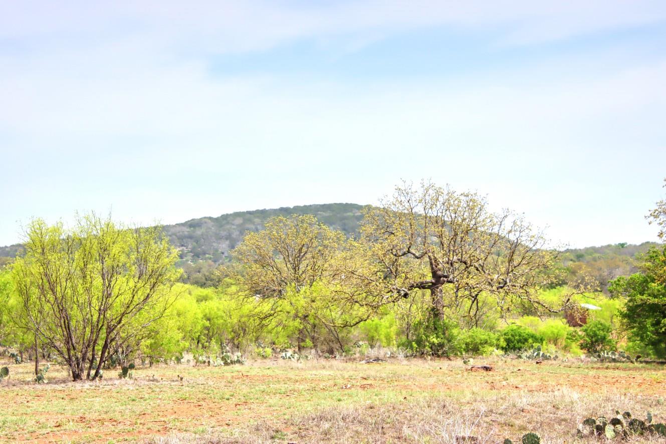 TBD County Road 110 Rd, Burnet, TX 78611