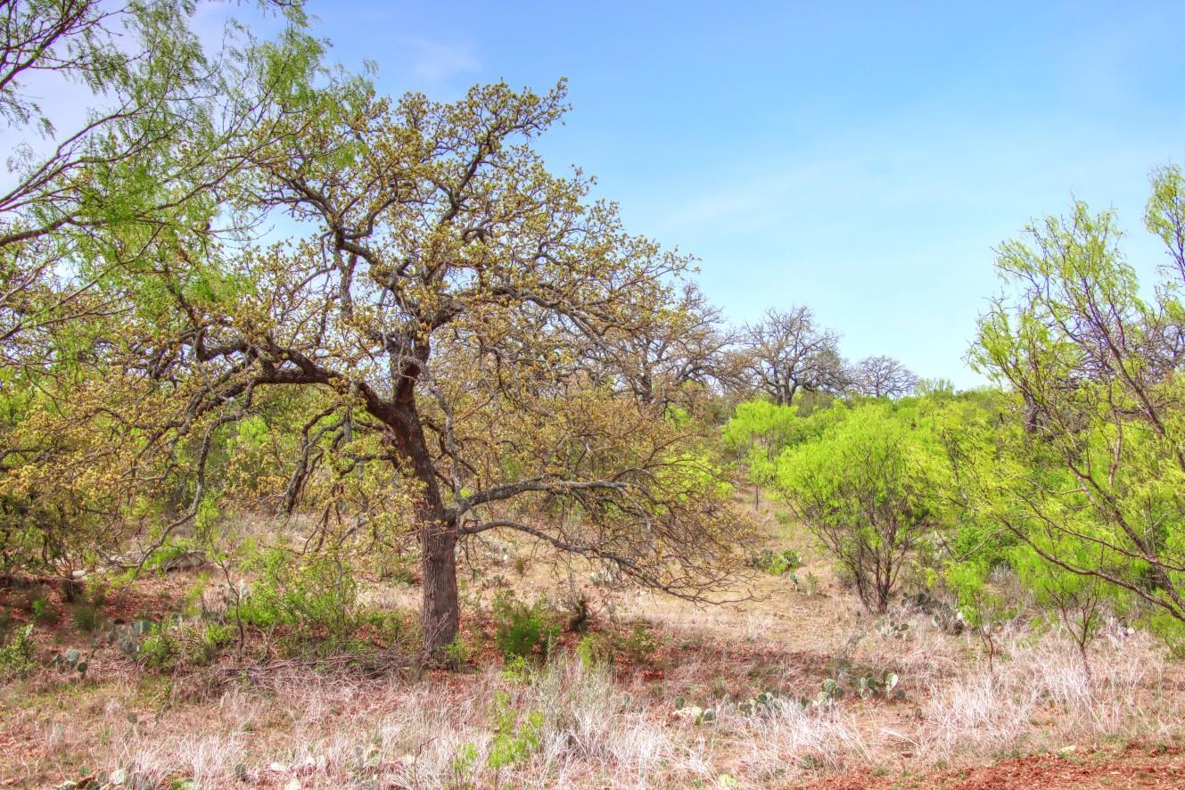 TBD County Road 110 Rd, Burnet, TX 78611