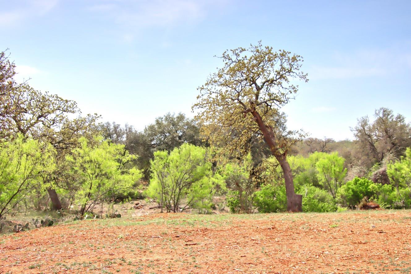 TBD County Road 110 Rd, Burnet, TX 78611