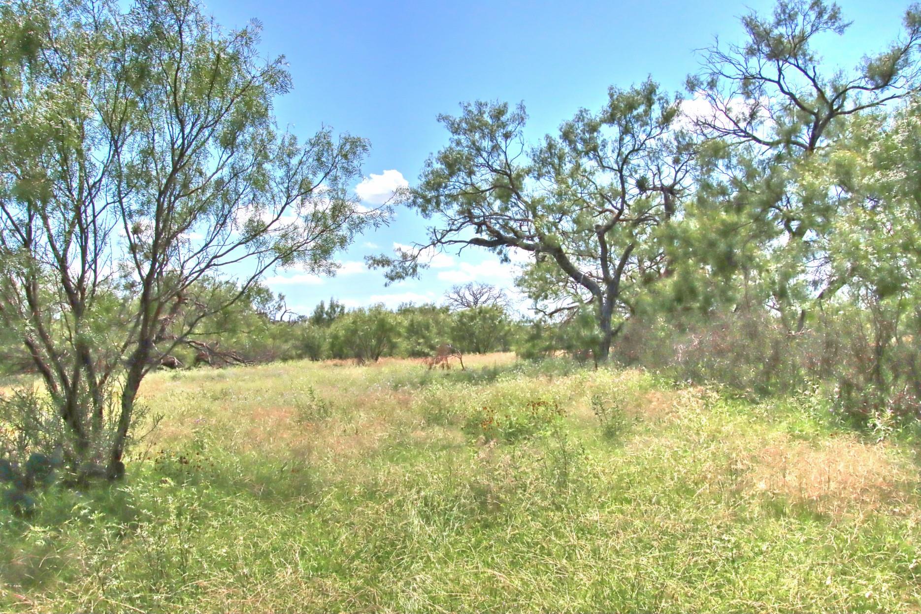 TBD CR 110 Rd, Burnet, TX 78611