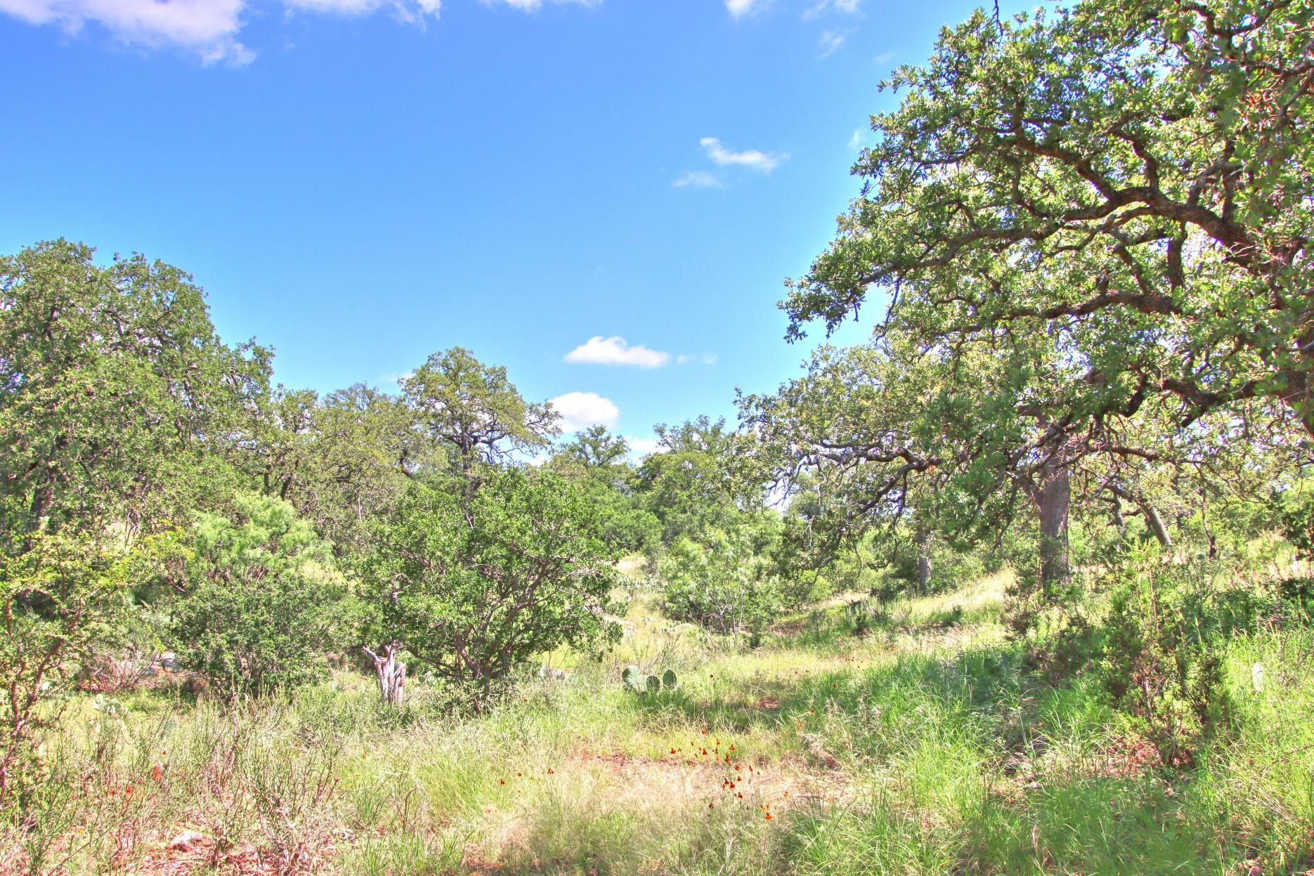 TBD CR 110 Rd, Burnet, TX 78611