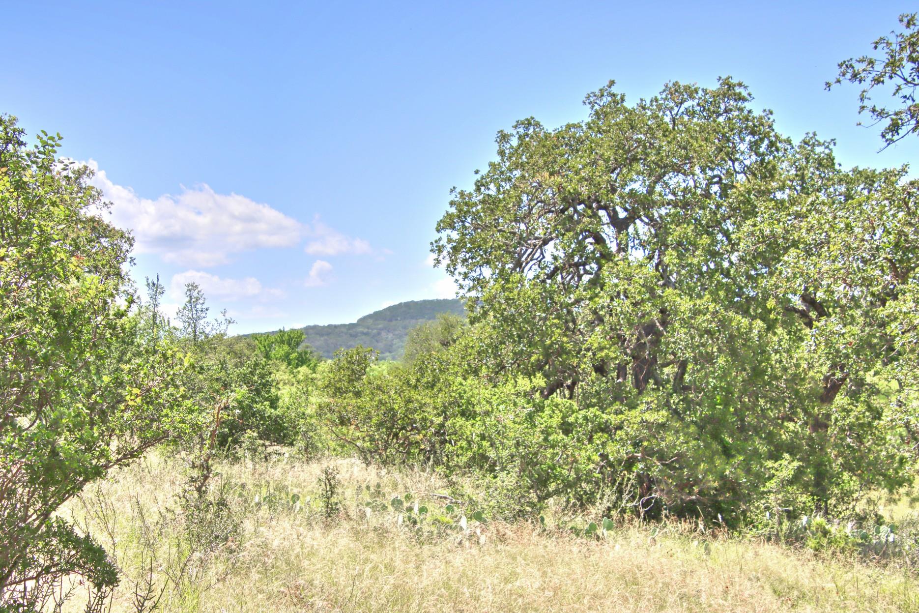 TBD CR 110 Rd, Burnet, TX 78611