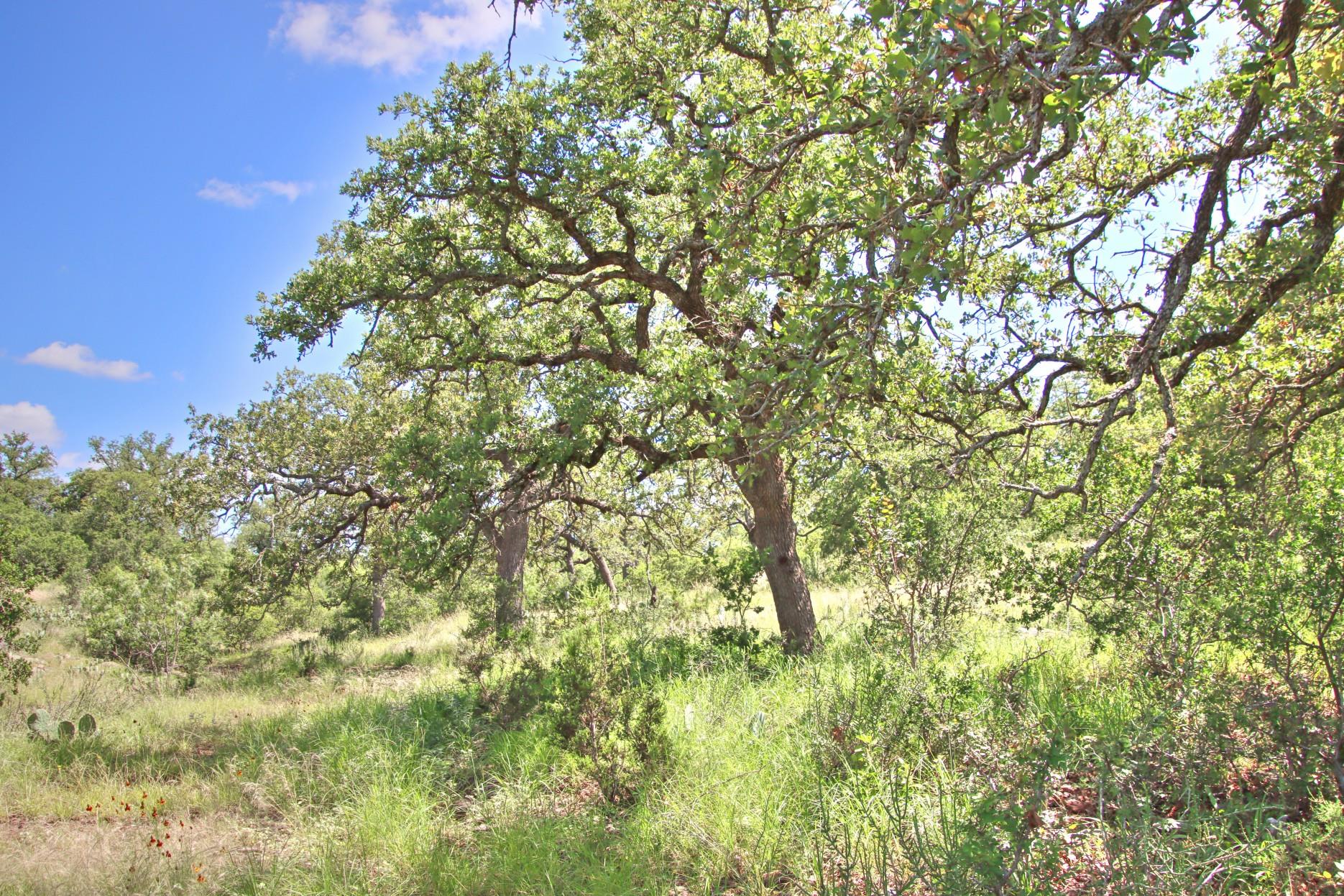 TBD CR 110 Rd, Burnet, TX 78611