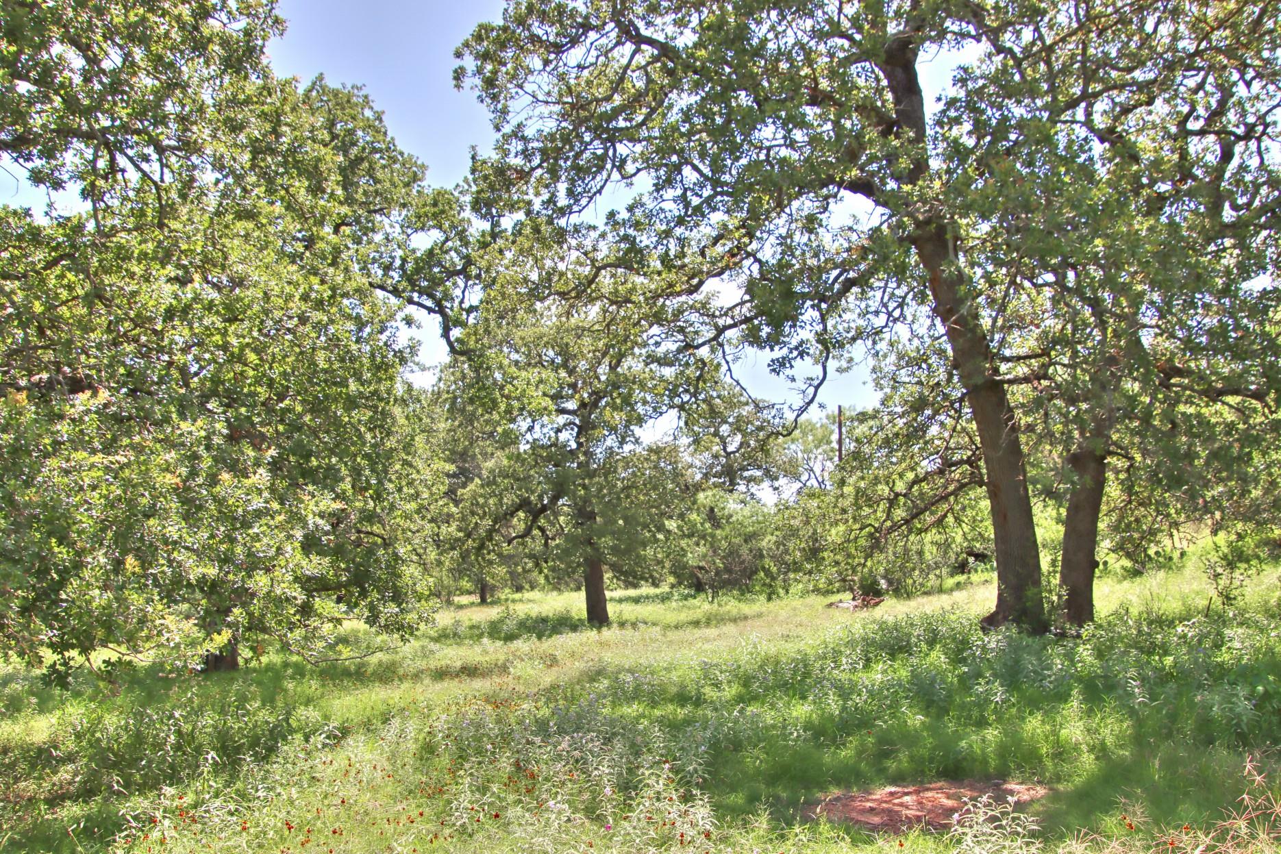 TBD CR 110 Rd, Burnet, TX 78611