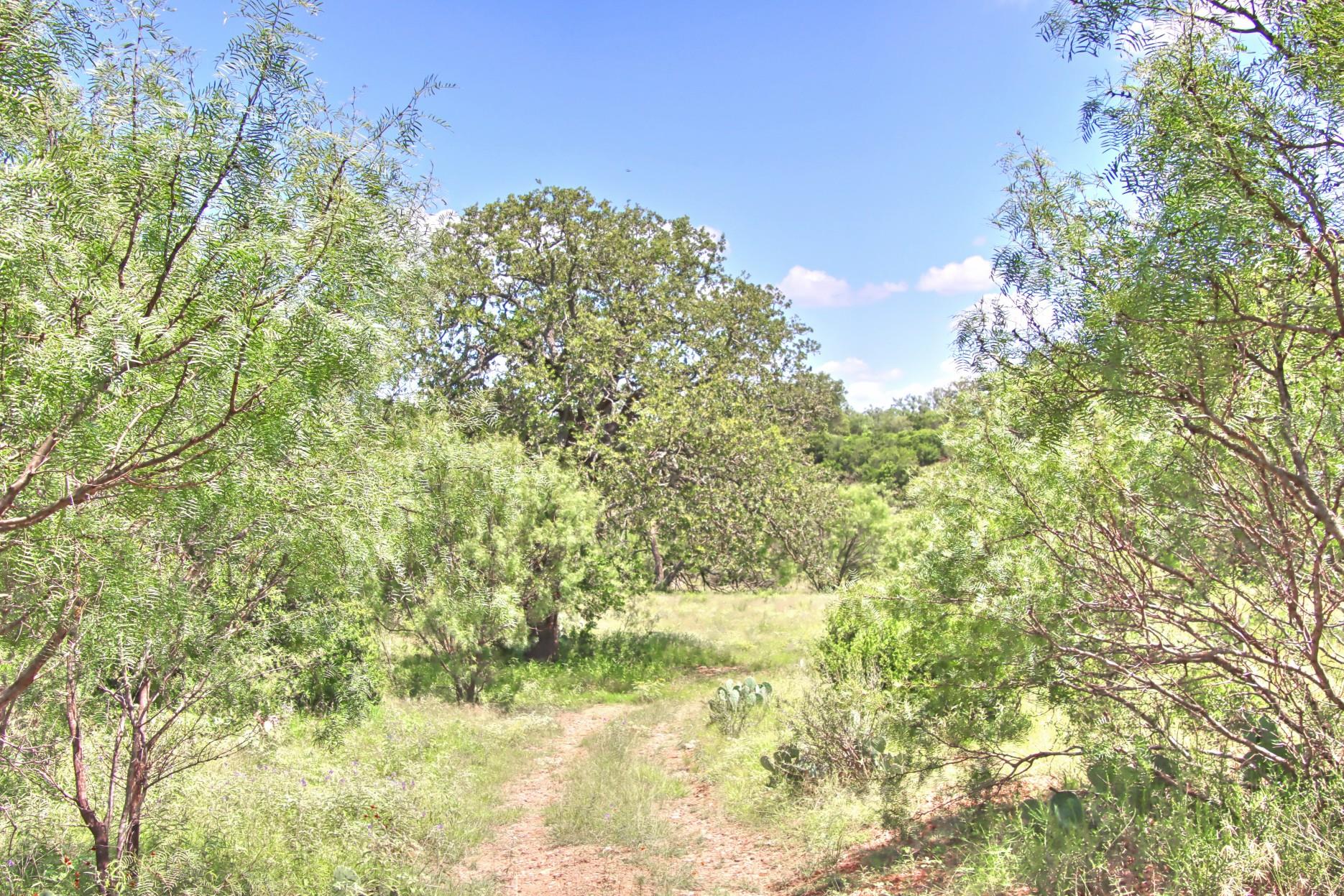TBD CR 110 Rd, Burnet, TX 78611
