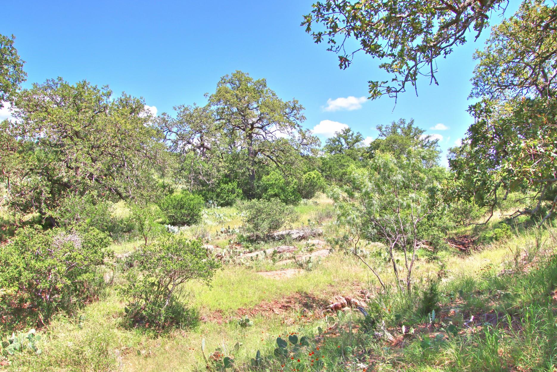 TBD CR 110 Rd, Burnet, TX 78611