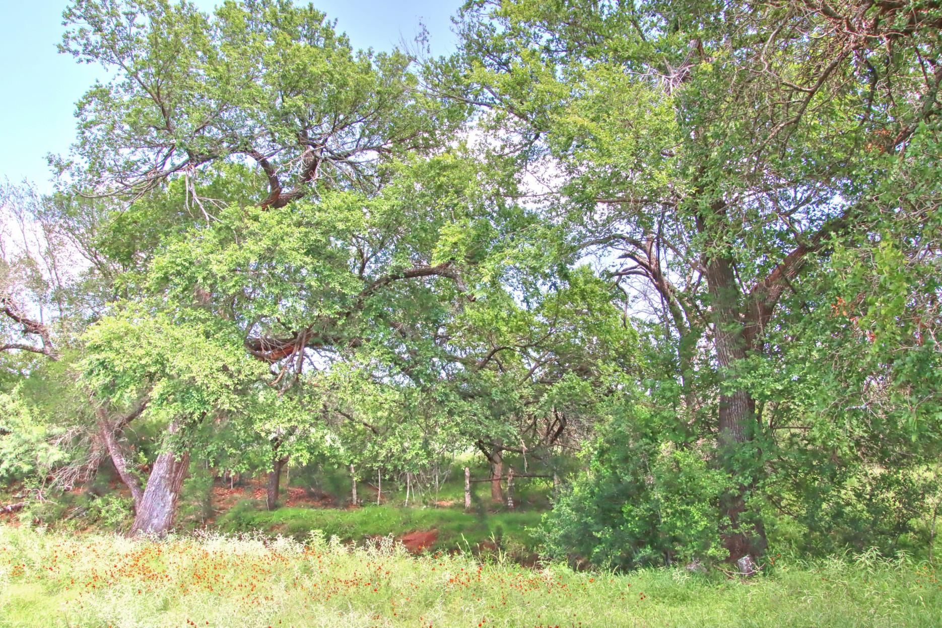 TBD CR 110 Rd, Burnet, TX 78611