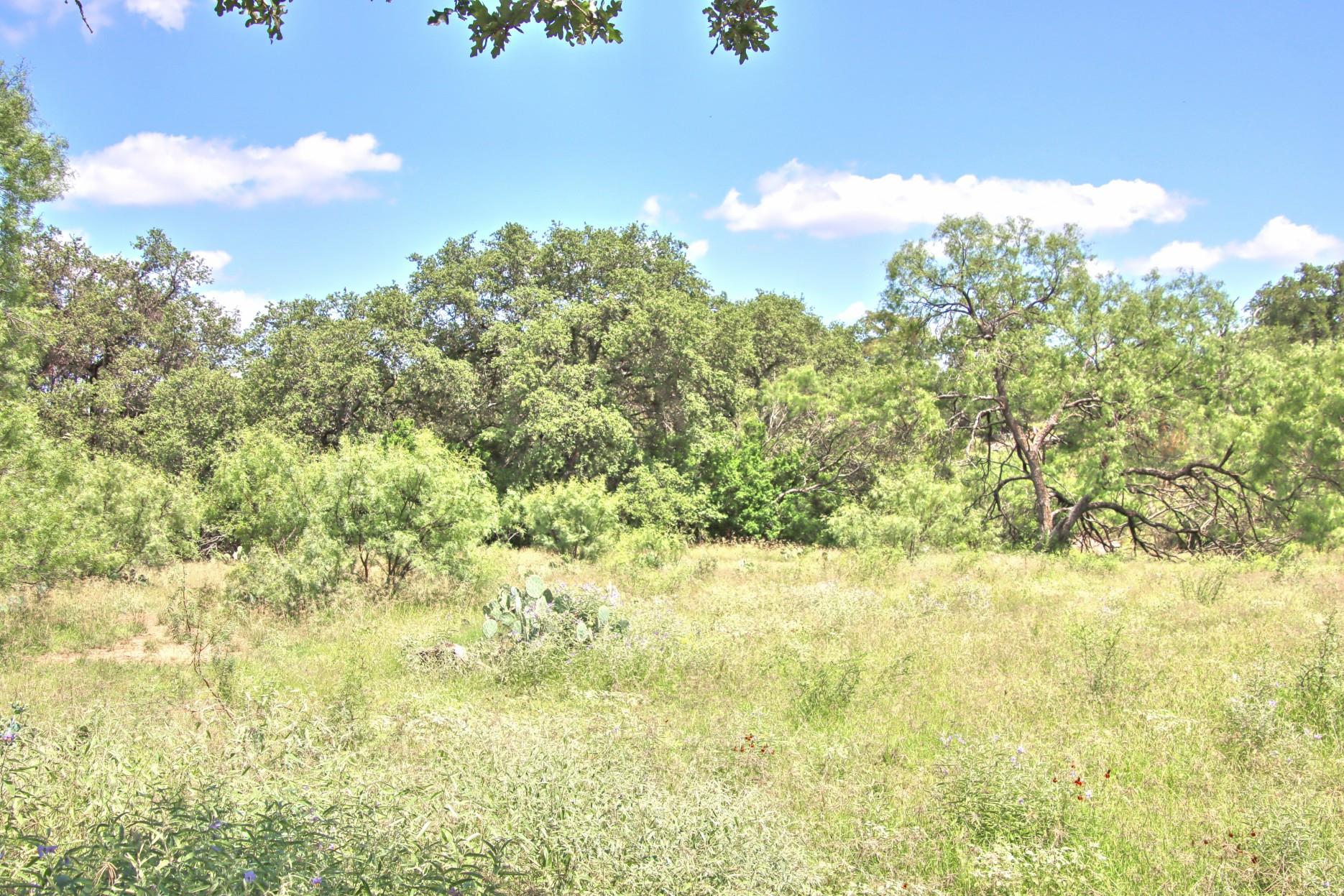 TBD CR 110 Rd, Burnet, TX 78611