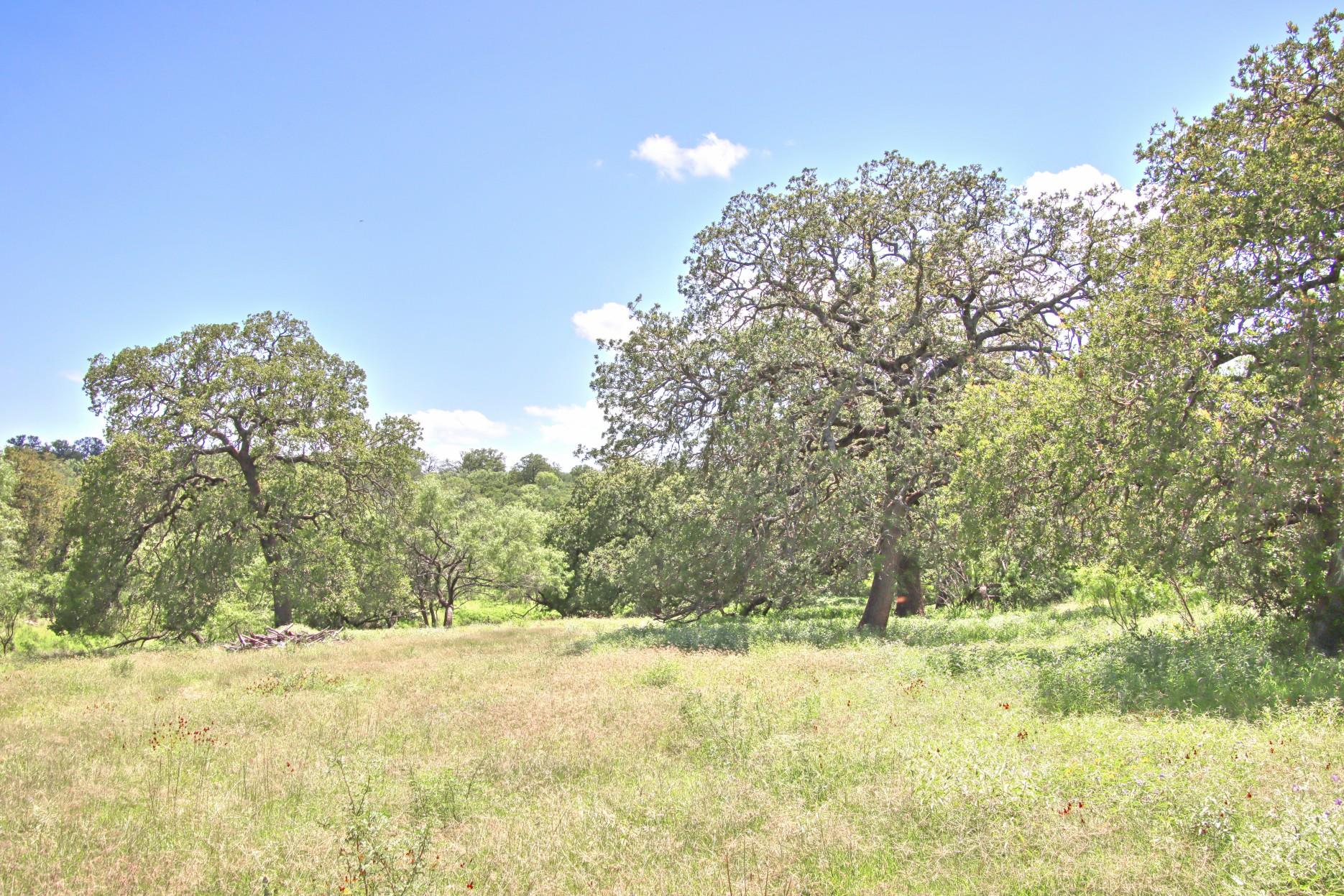 TBD CR 110 Rd, Burnet, TX 78611