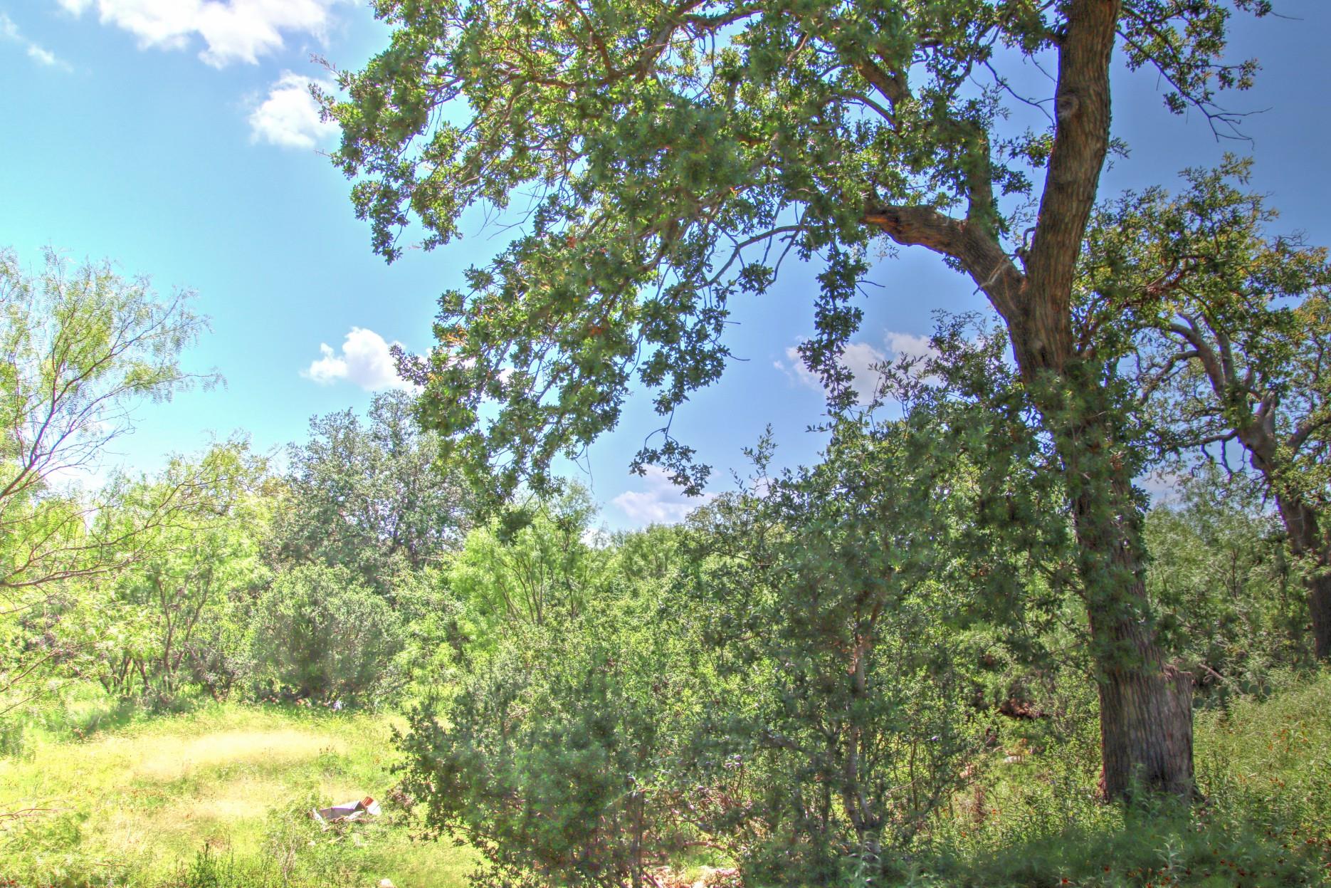 TBD CR 110 Rd, Burnet, TX 78611