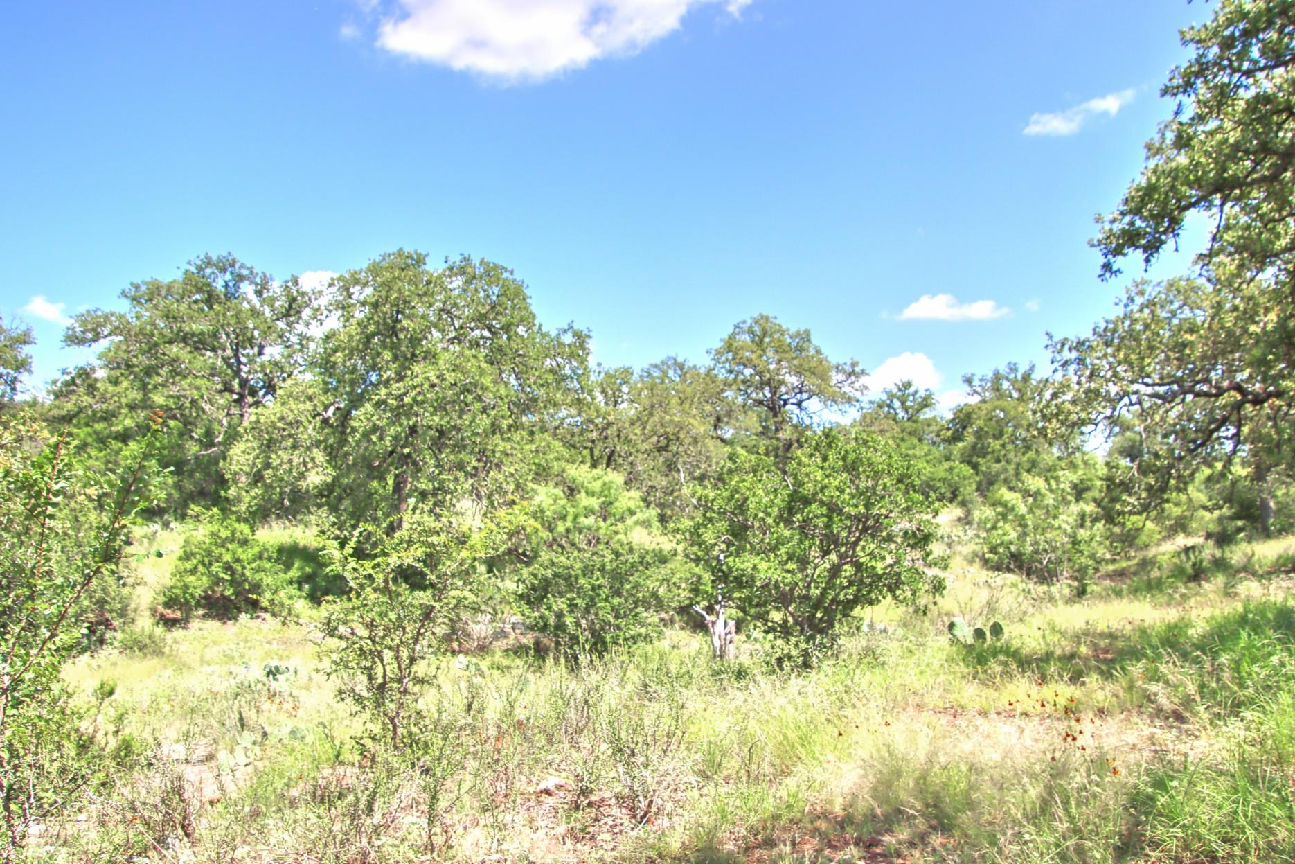TBD CR 110 Rd, Burnet, TX 78611
