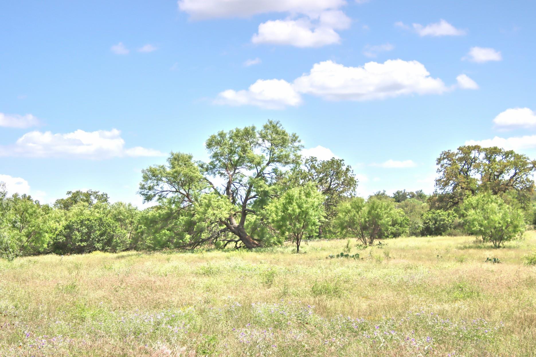 TBD CR 110 Rd, Burnet, TX 78611