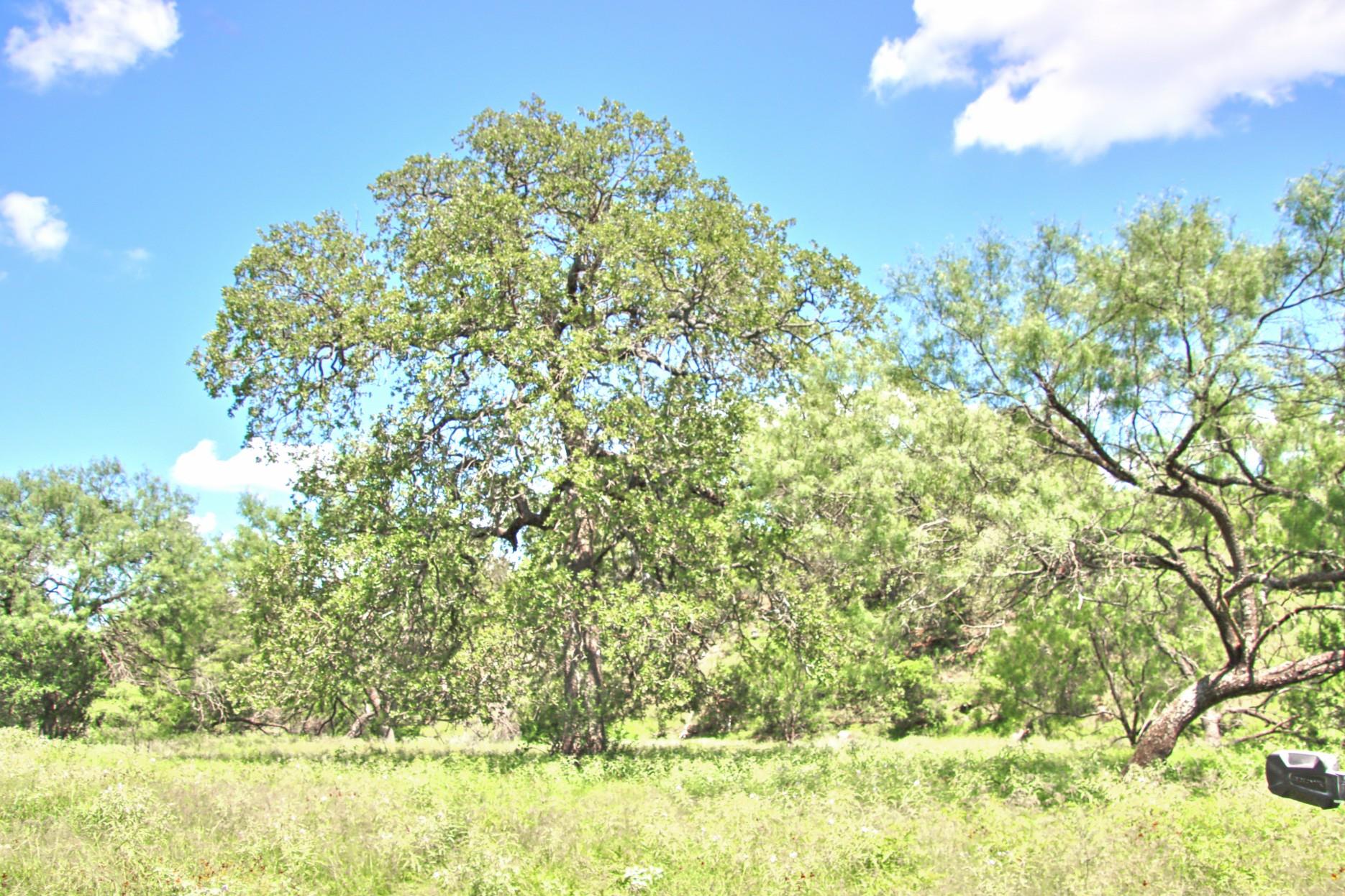 TBD CR 110 Rd, Burnet, TX 78611