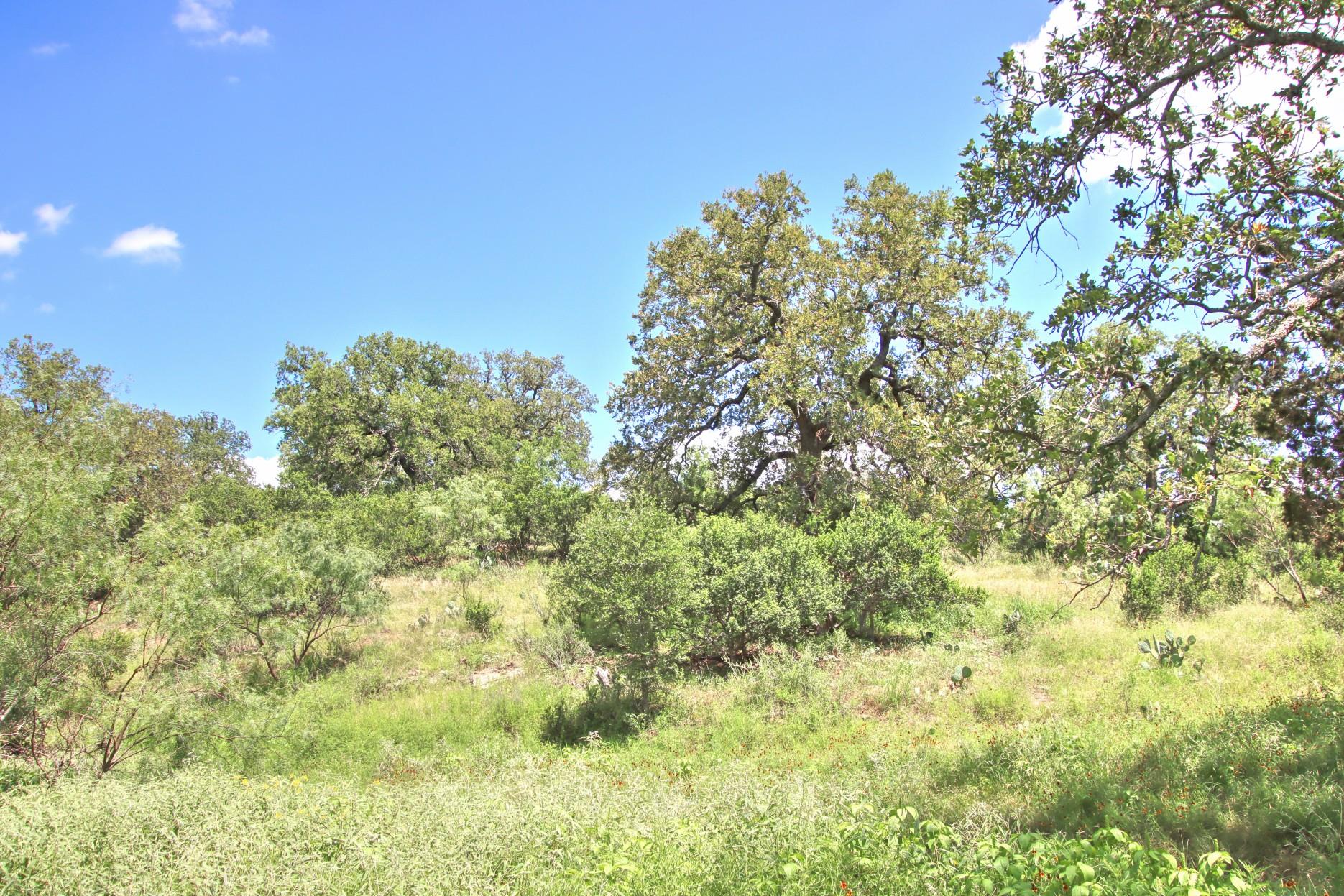 TBD CR 110 Rd, Burnet, TX 78611