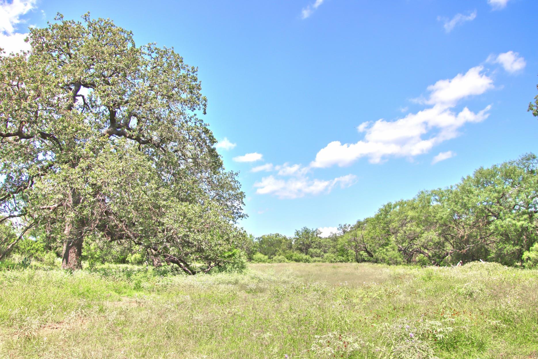 TBD CR 110 Rd, Burnet, TX 78611