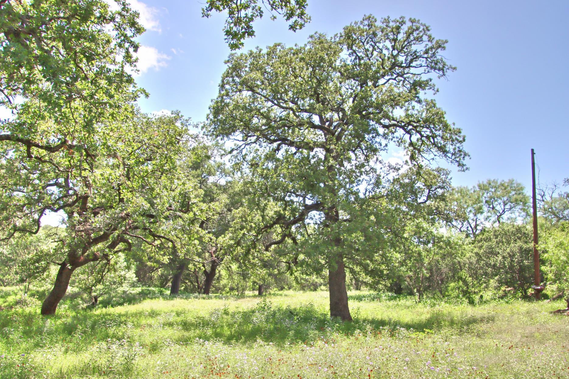 TBD CR 110 Rd, Burnet, TX 78611