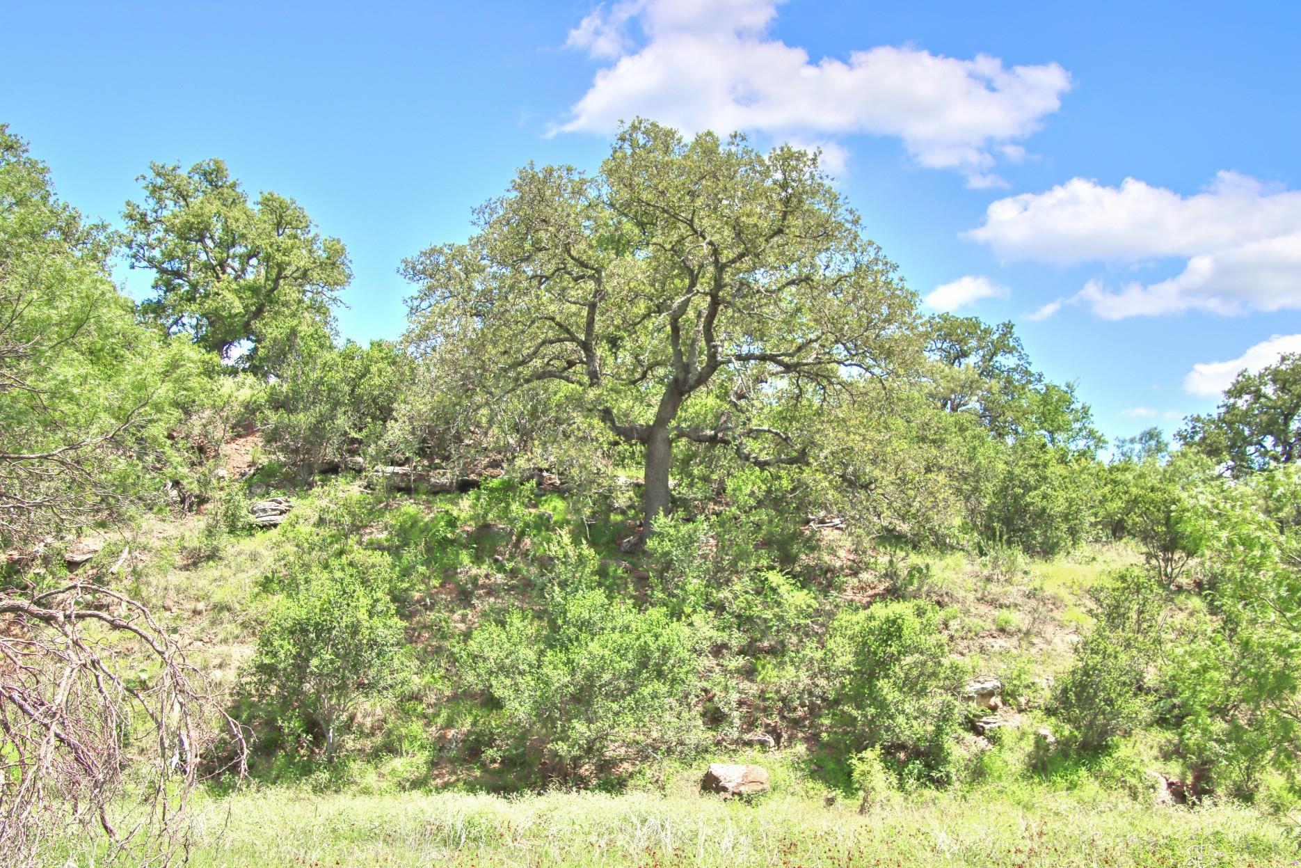 TBD CR 110 Rd, Burnet, TX 78611