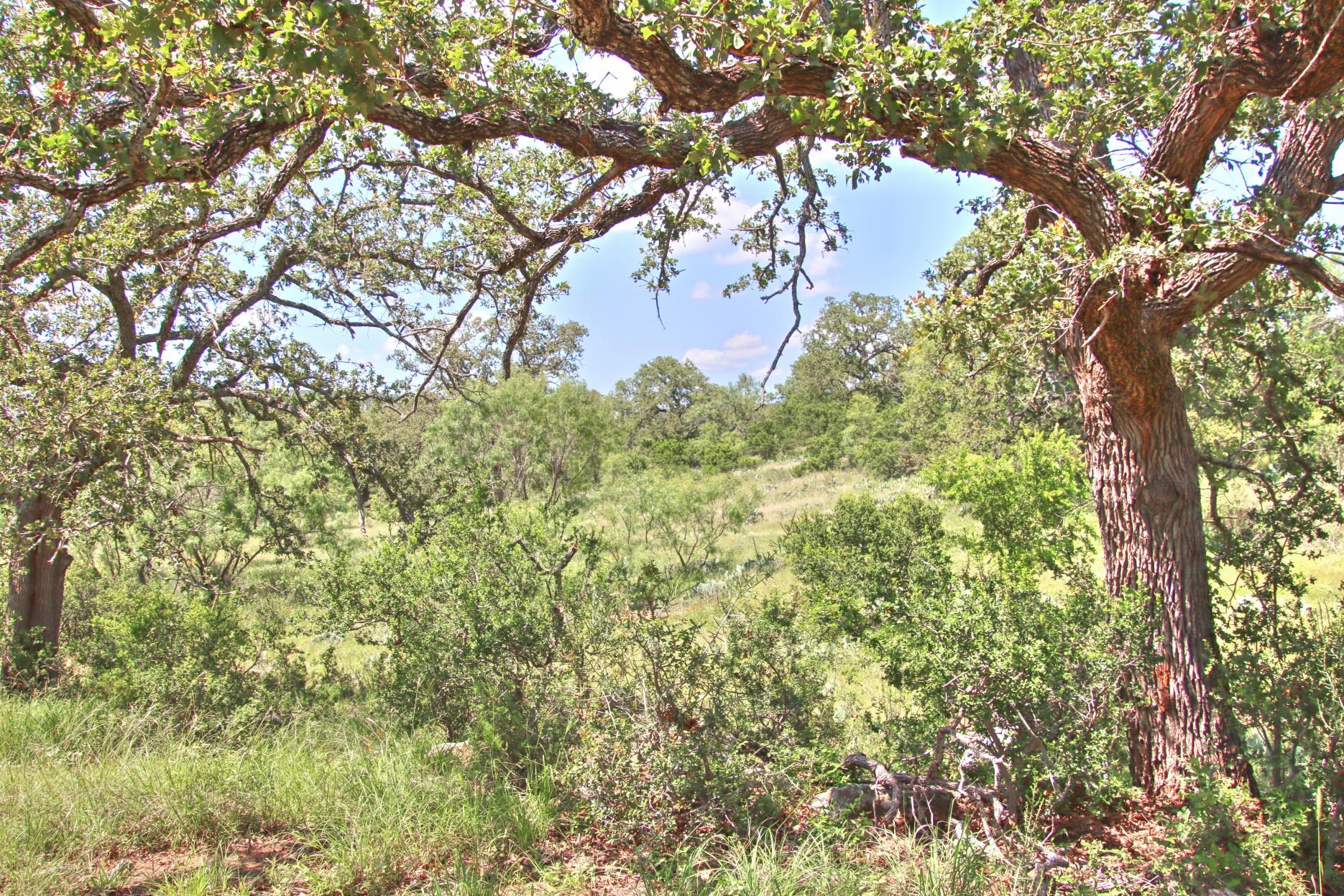 TBD CR 110 Rd, Burnet, TX 78611