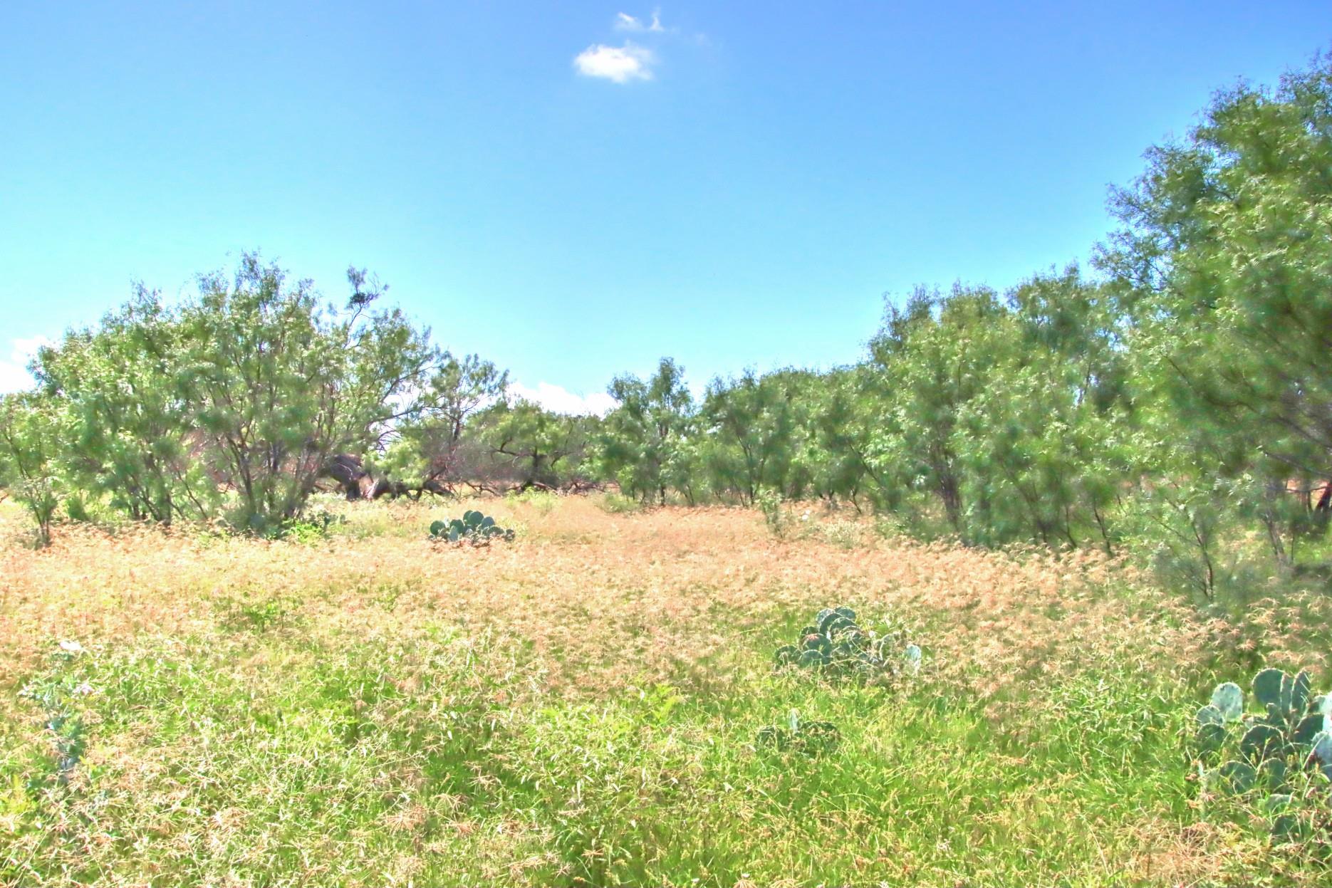 TBD CR 110 Rd, Burnet, TX 78611