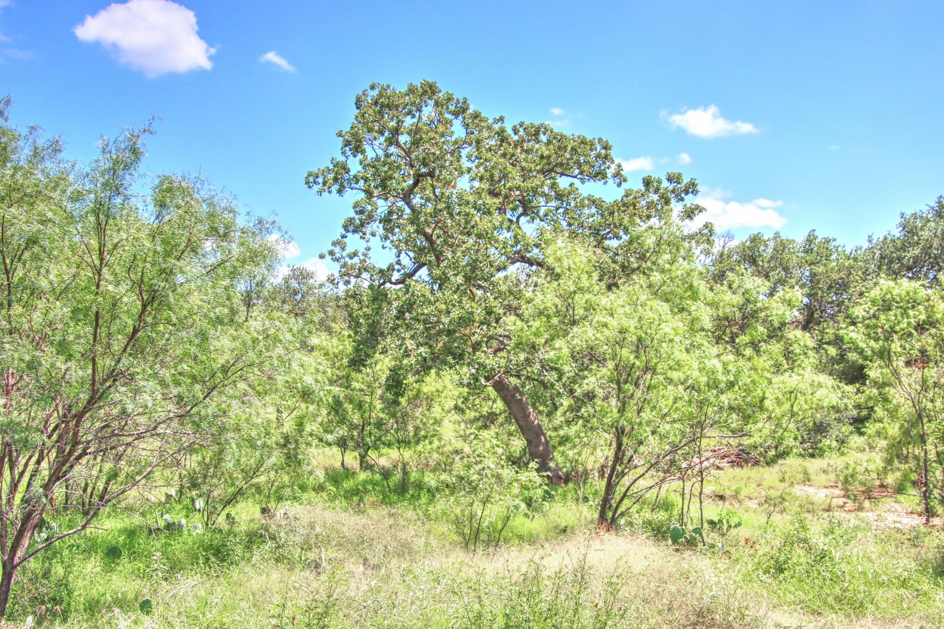 TBD CR 110 Rd, Burnet, TX 78611