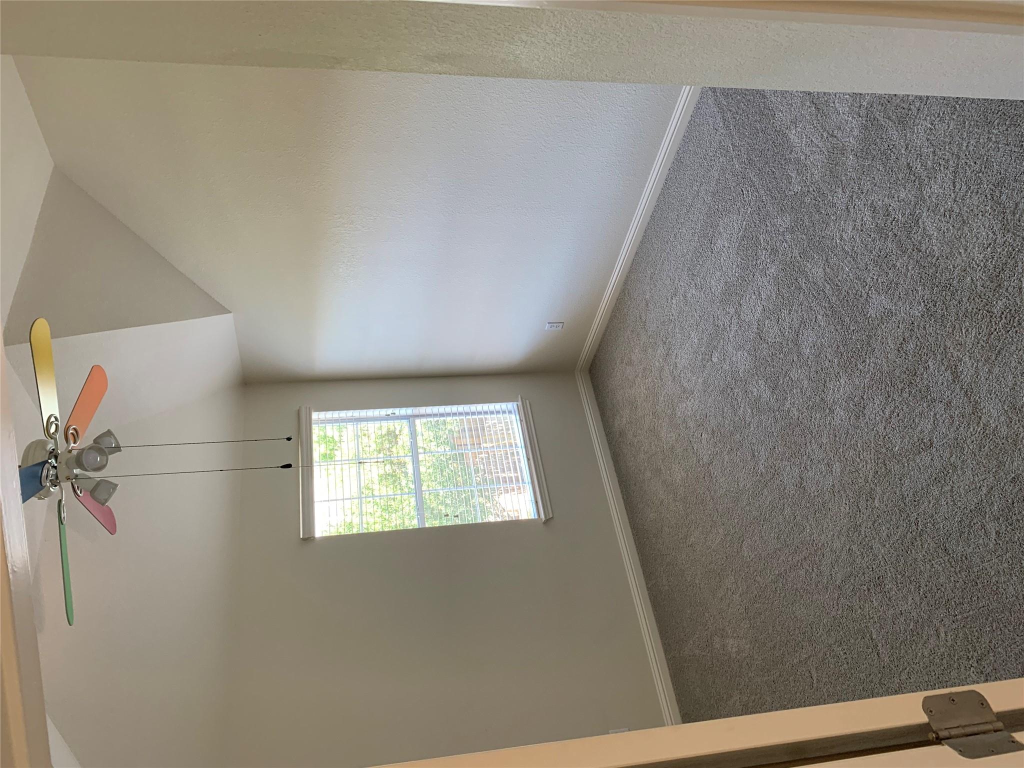 3713 Turetella Dr, Round Rock, TX 78681