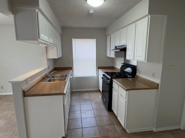 12105 Missel Thrush Ct, Austin, TX 78750