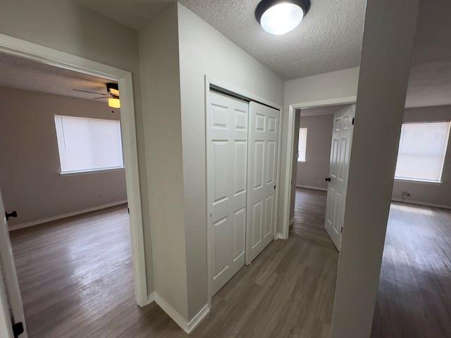 12105 Missel Thrush Ct, Austin, TX 78750