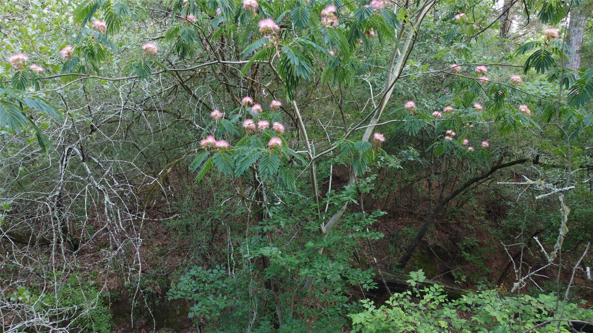 0000 Green Valley Dr, Bastrop, TX 78602