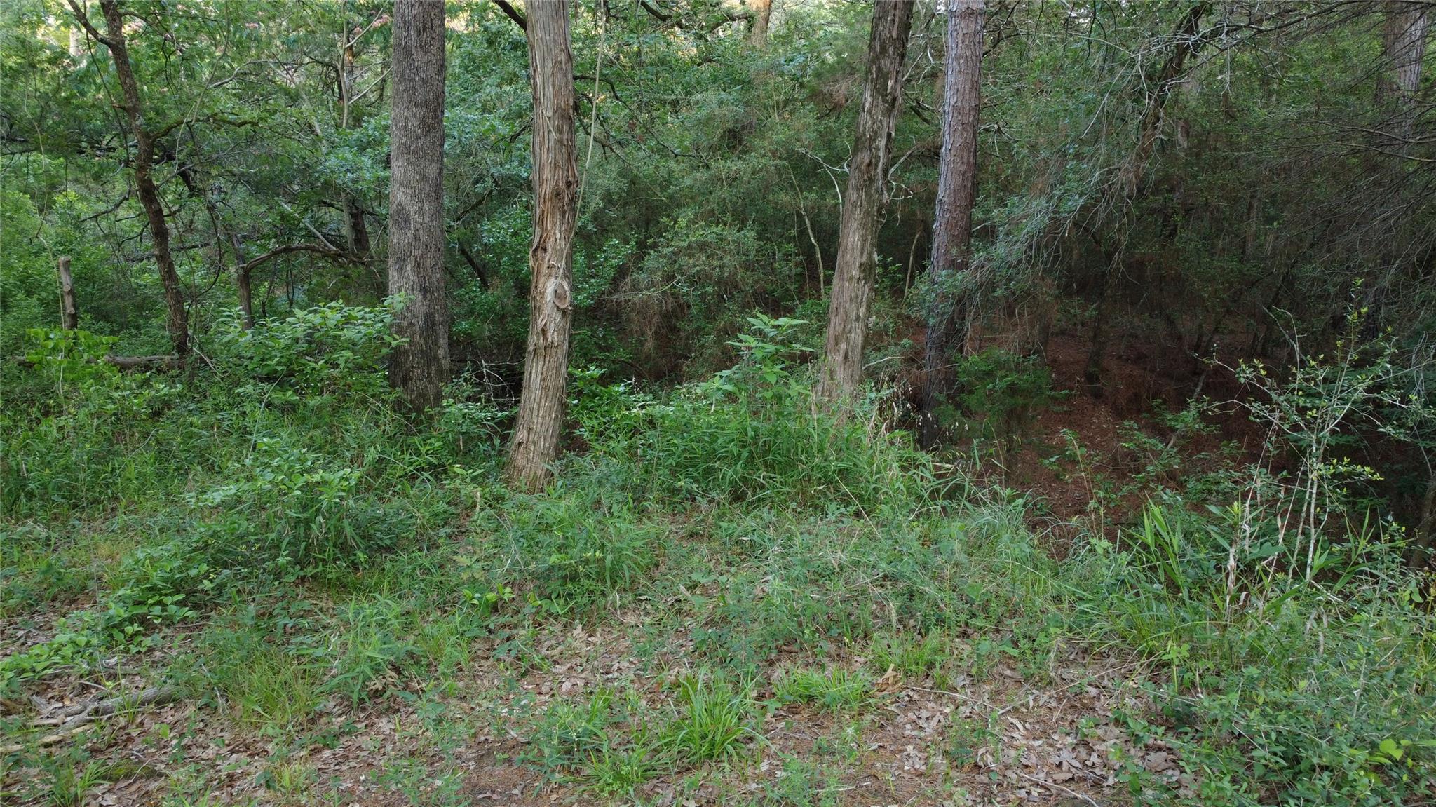 0000 Green Valley Dr, Bastrop, TX 78602