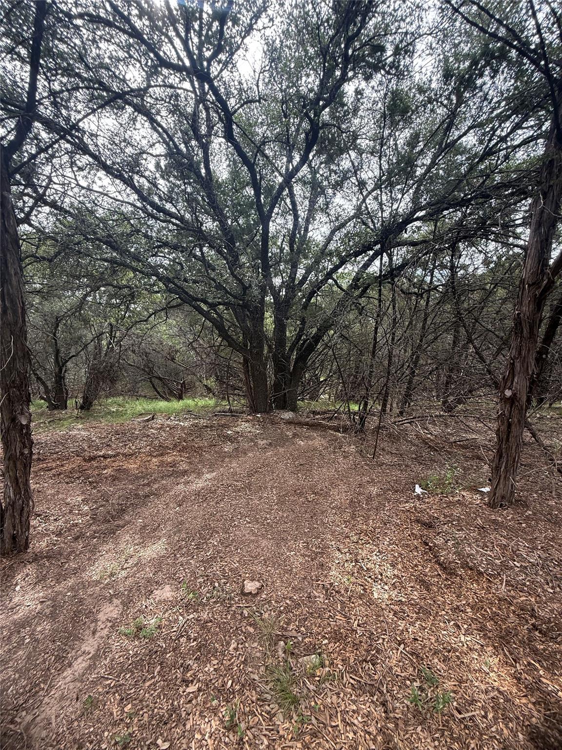 21501 Paseo De Vaca St, Leander, TX 78645