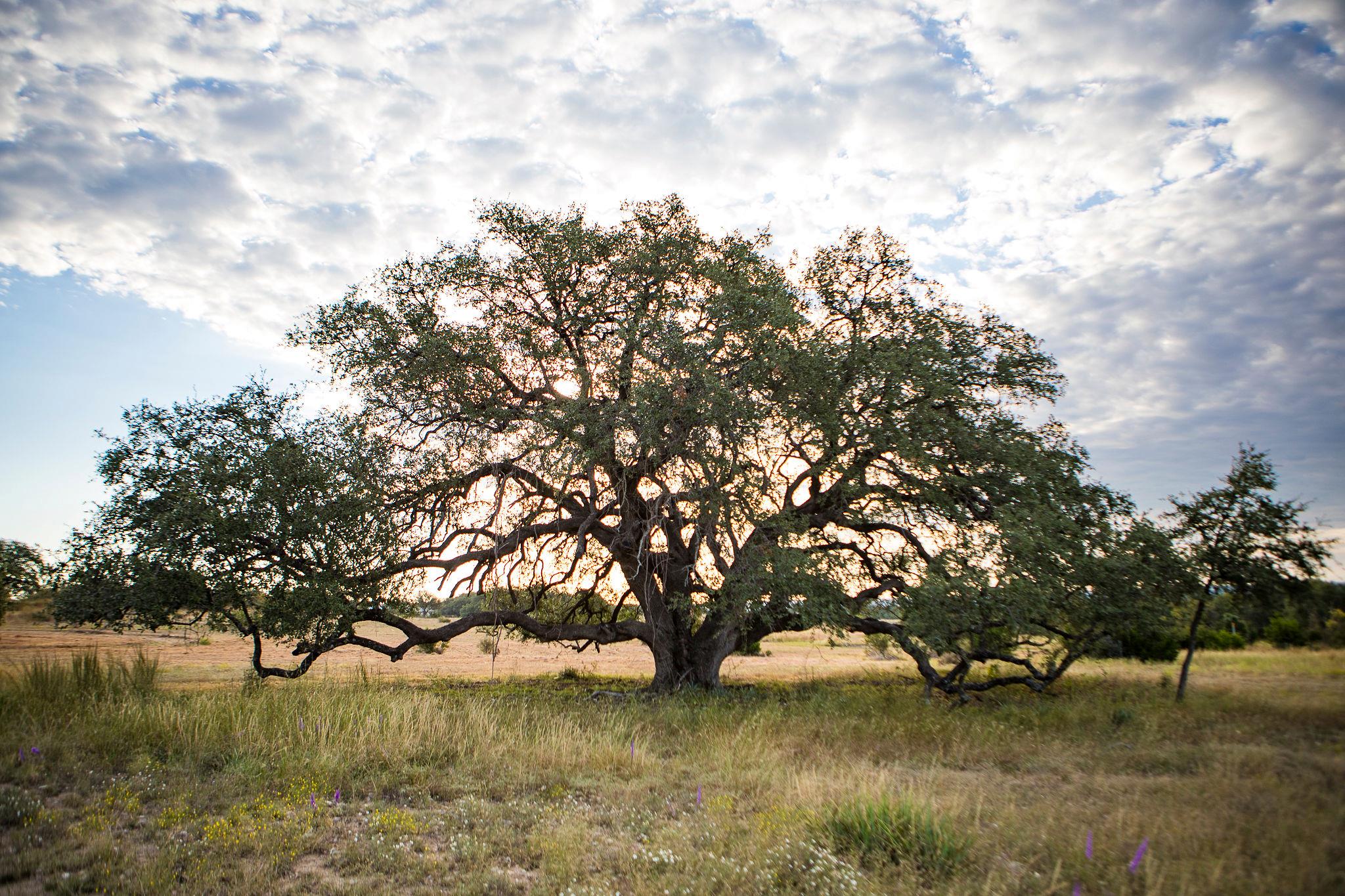 0 CR 224 W, Lampasas, TX 76550