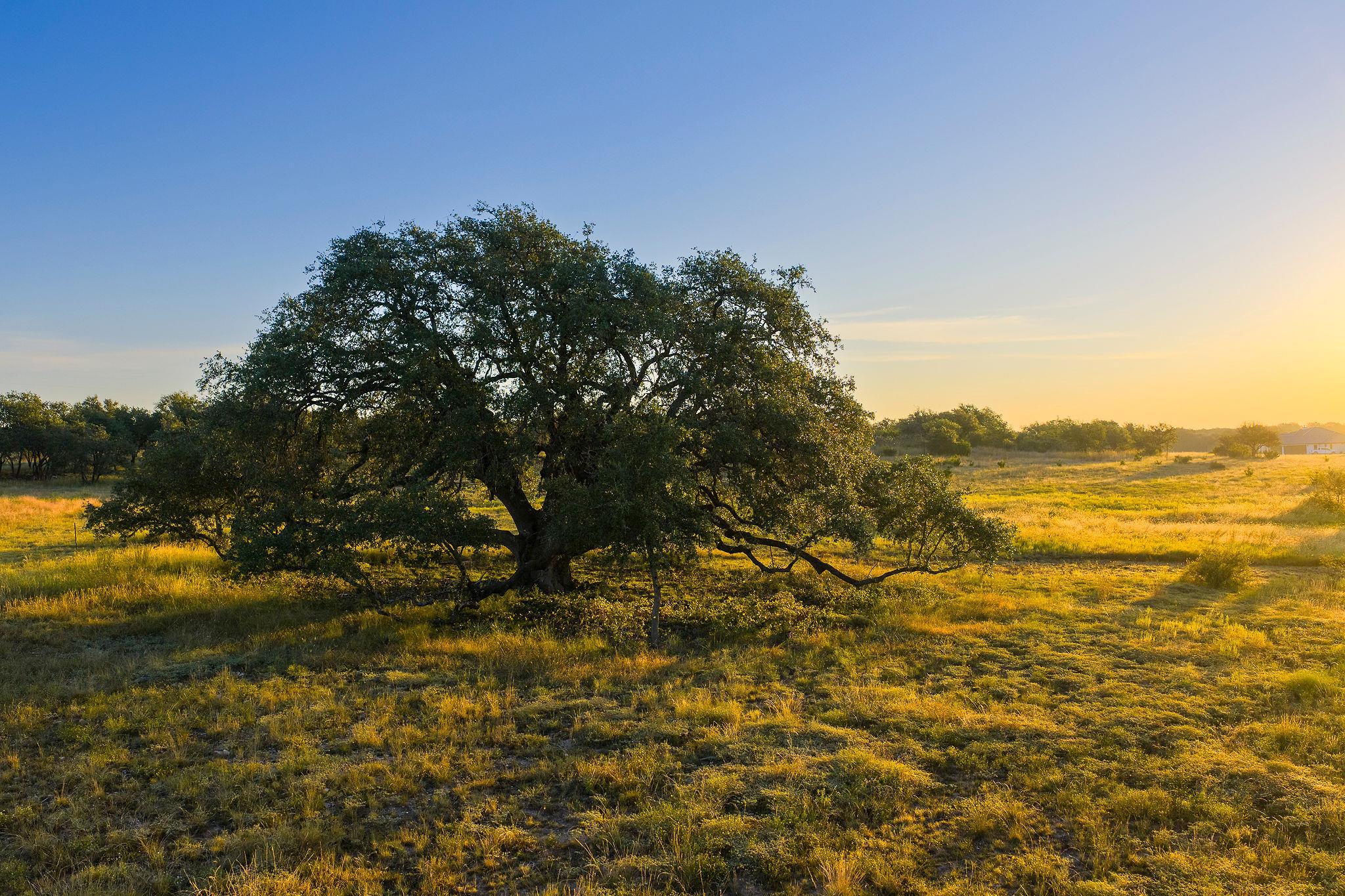 0 CR 224 W, Lampasas, TX 76550