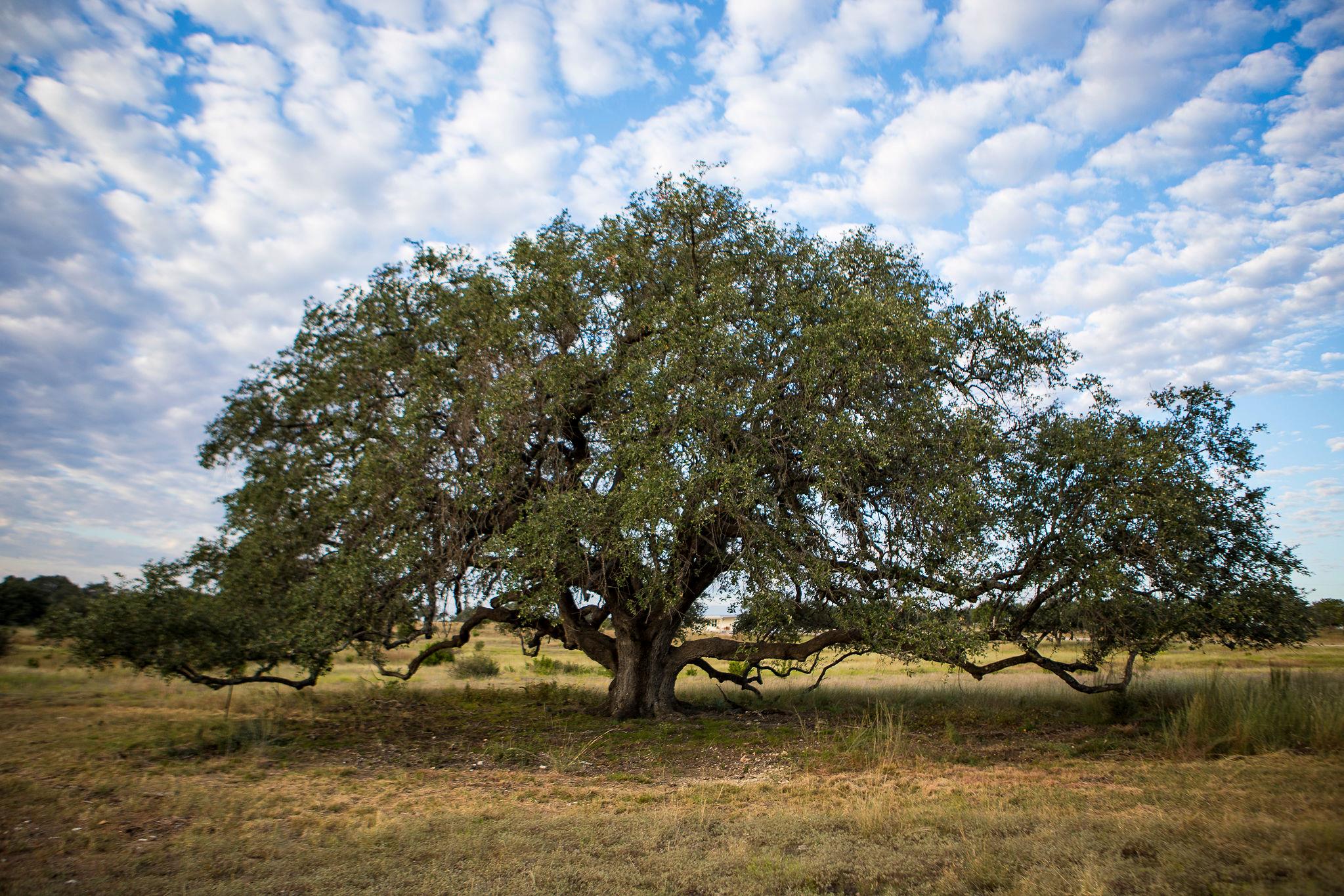 0 CR 224 W, Lampasas, TX 76550