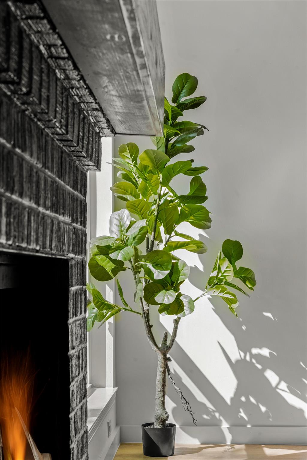 3507 Lovage Dr, Austin, TX 78727