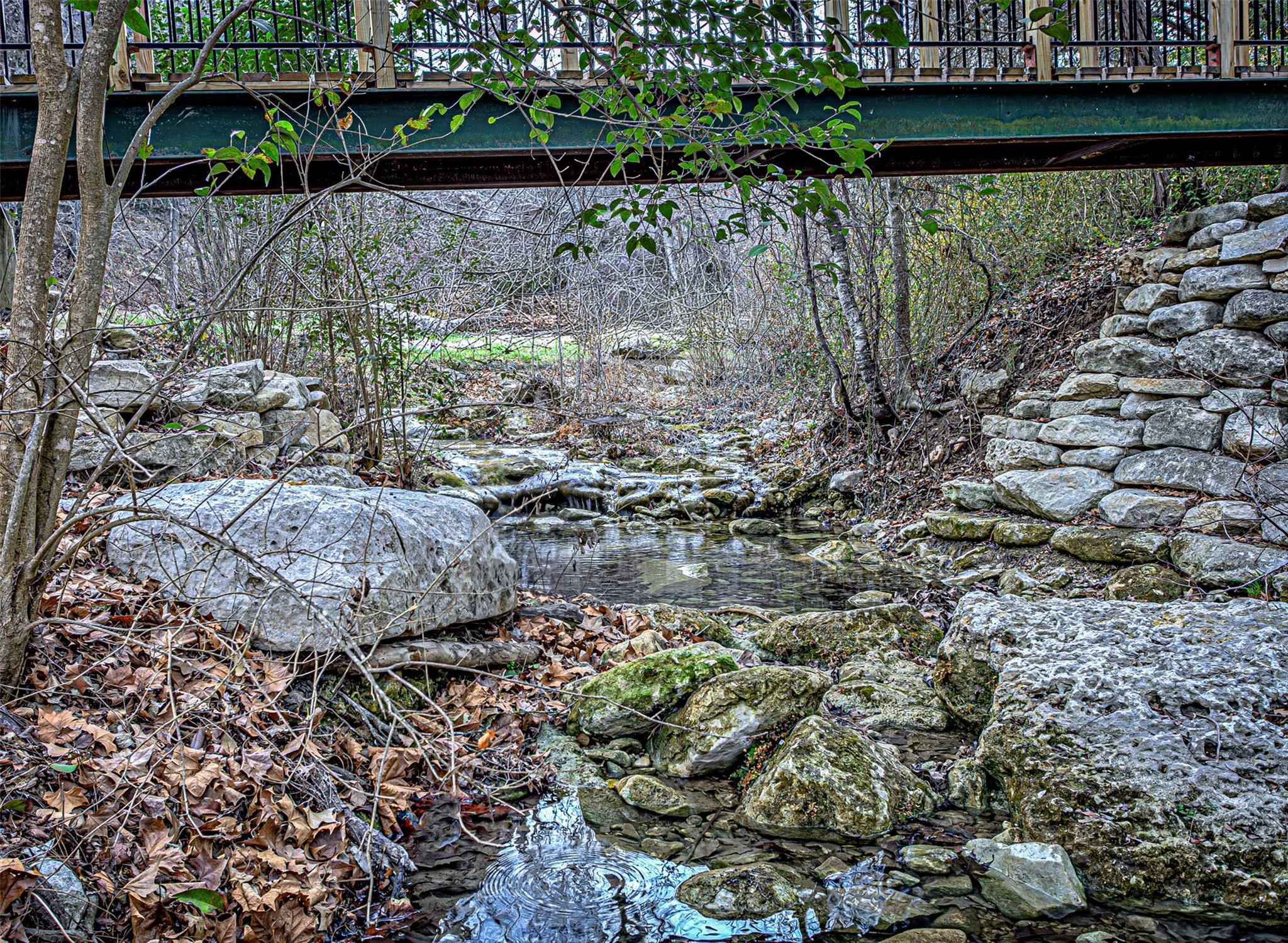 14707 Broken Bow Trl, Austin, TX 78734