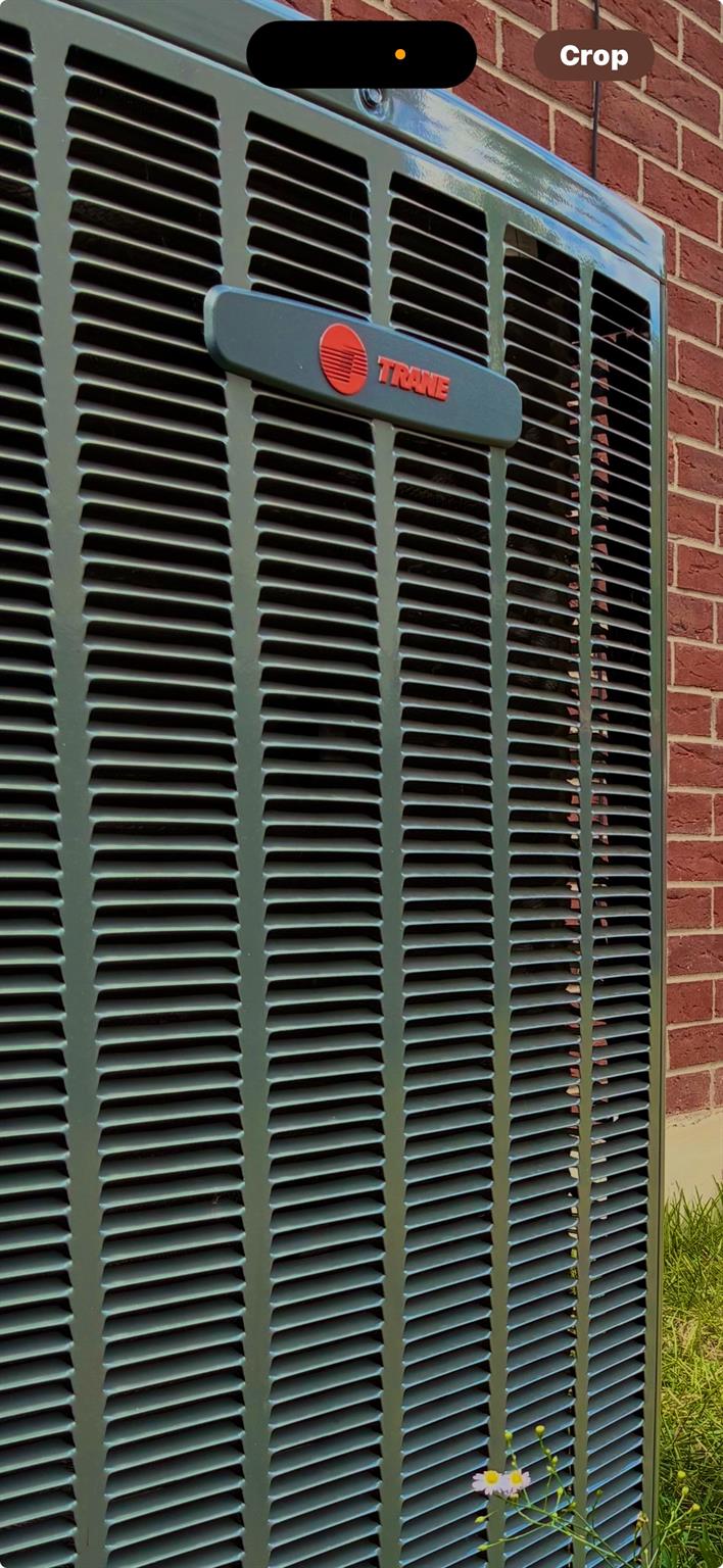 1007 Audra St, Cedar Park, TX 78613