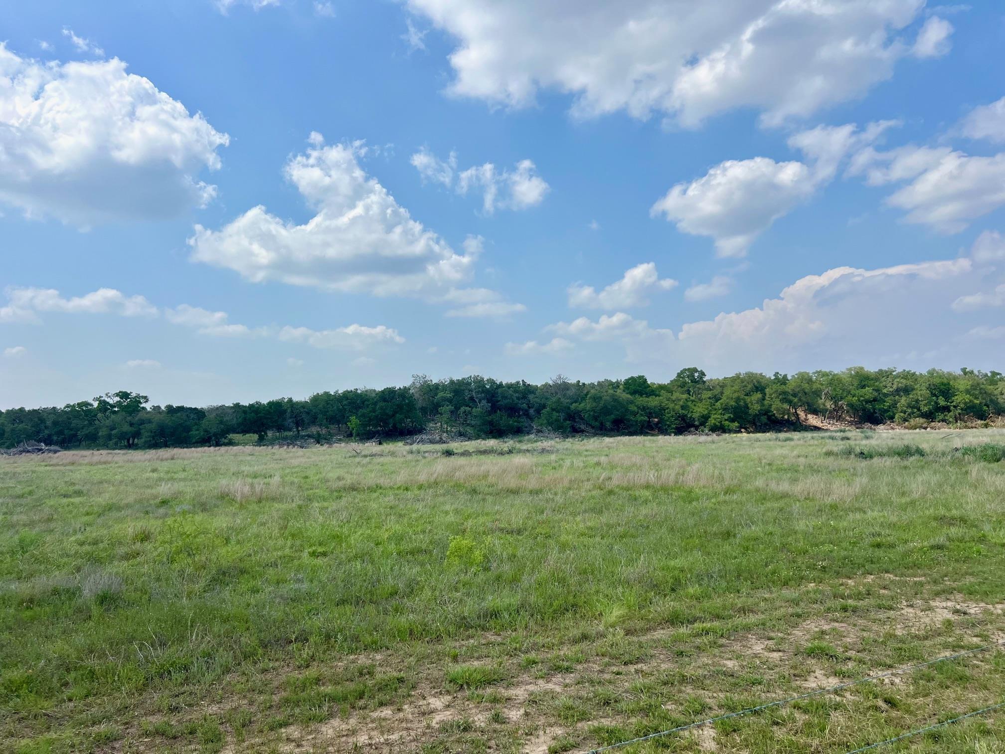 1366-E Narrows Rd, Blanco, TX 78606