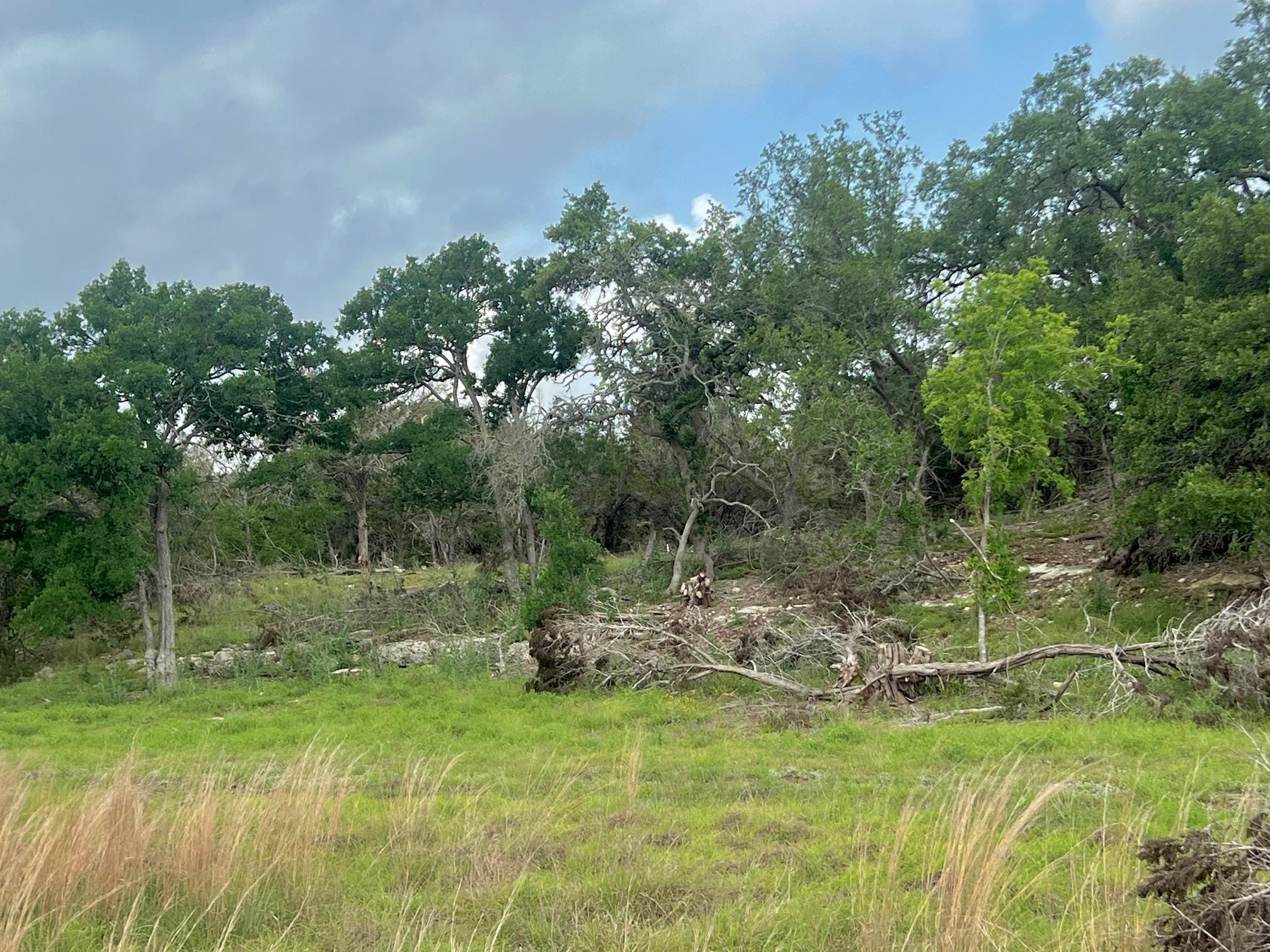 1366-E Narrows Rd, Blanco, TX 78606