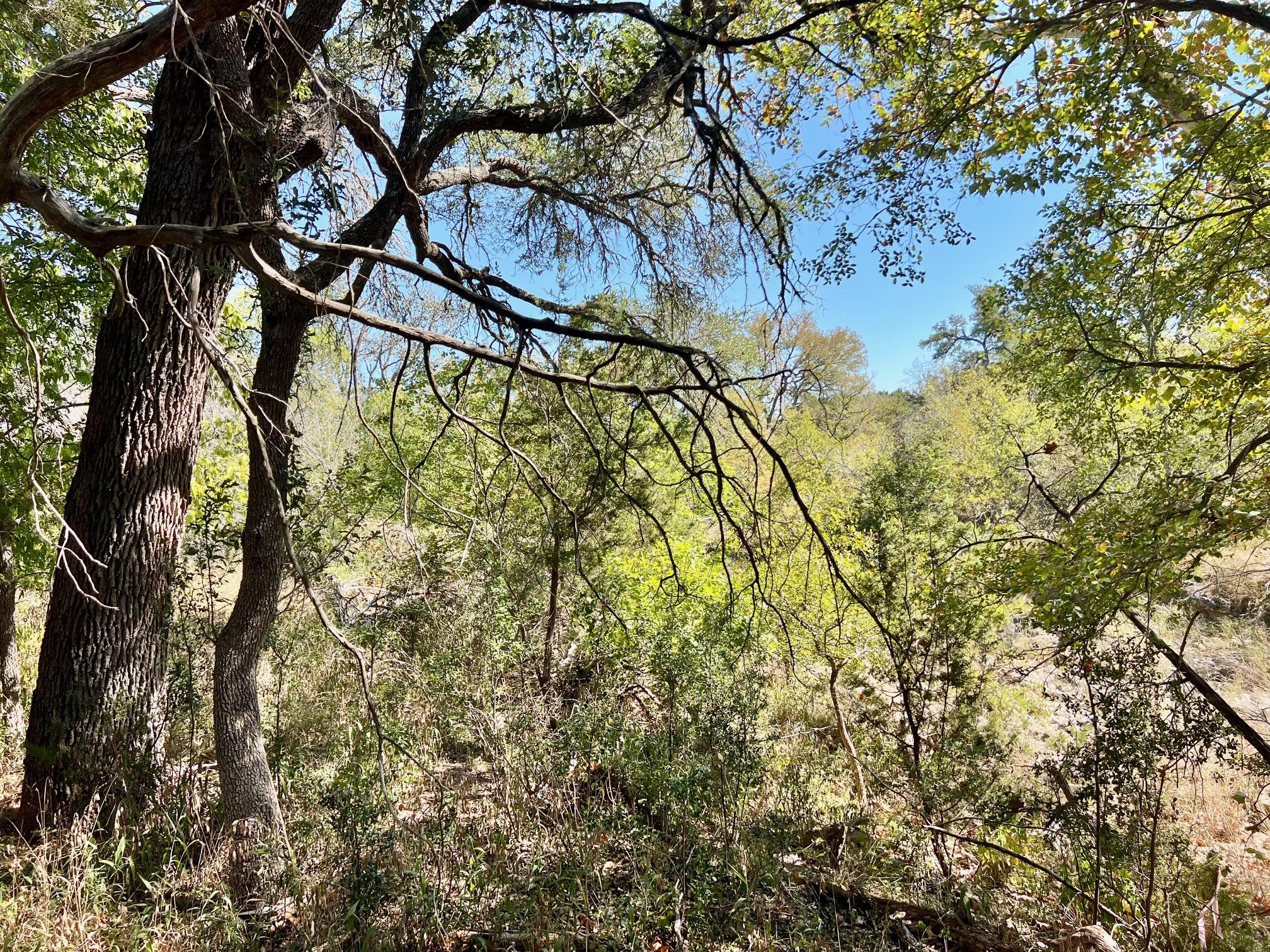 1366-E Narrows Rd, Blanco, TX 78606