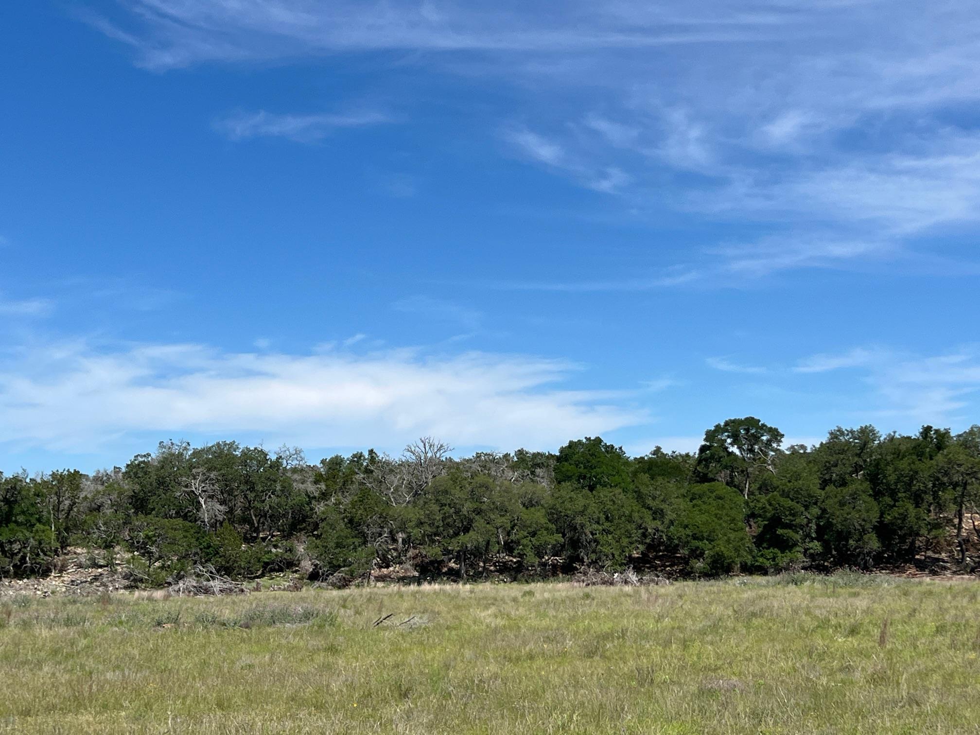 1366-E Narrows Rd, Blanco, TX 78606