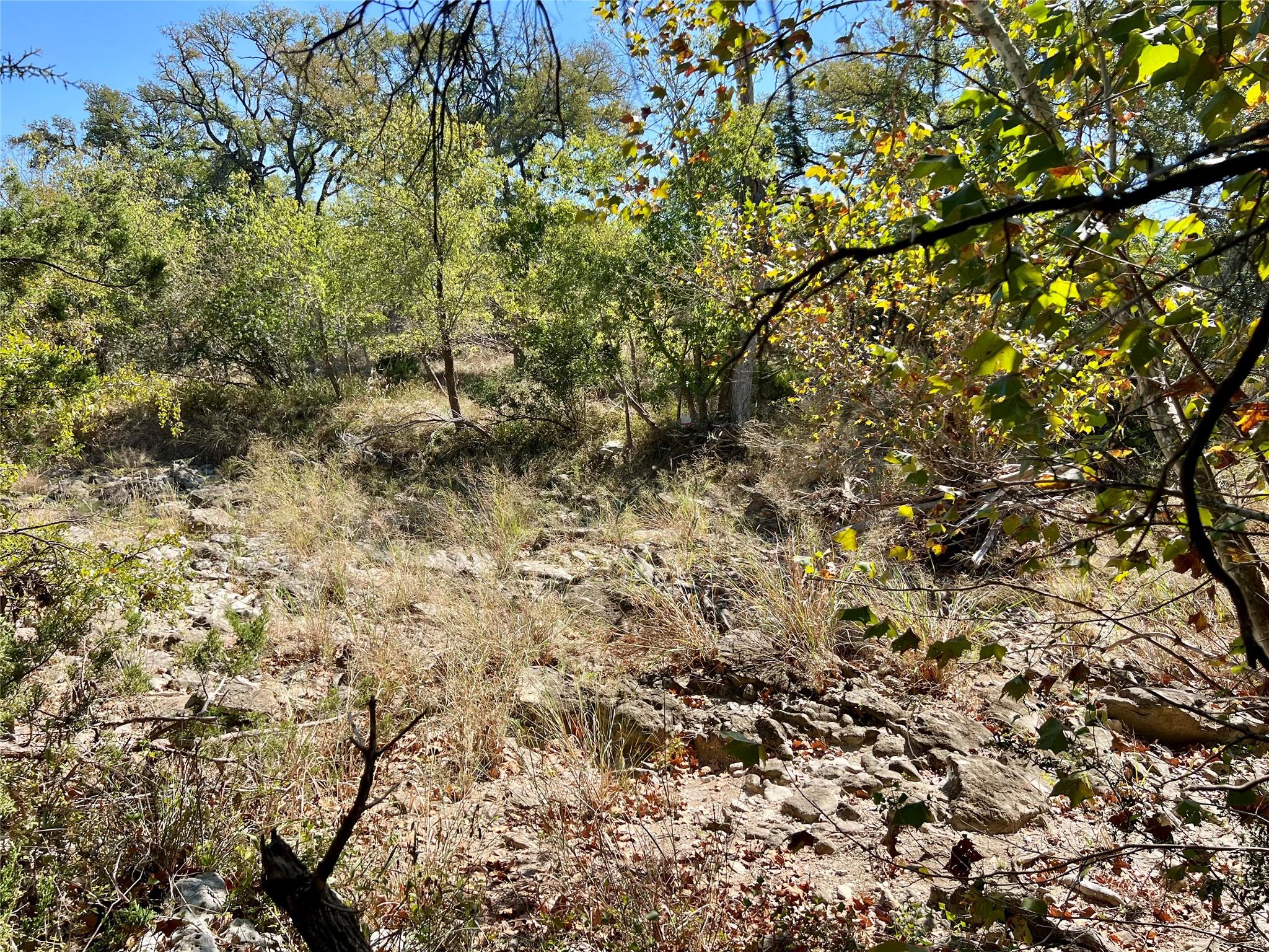 1366-E Narrows Rd, Blanco, TX 78606