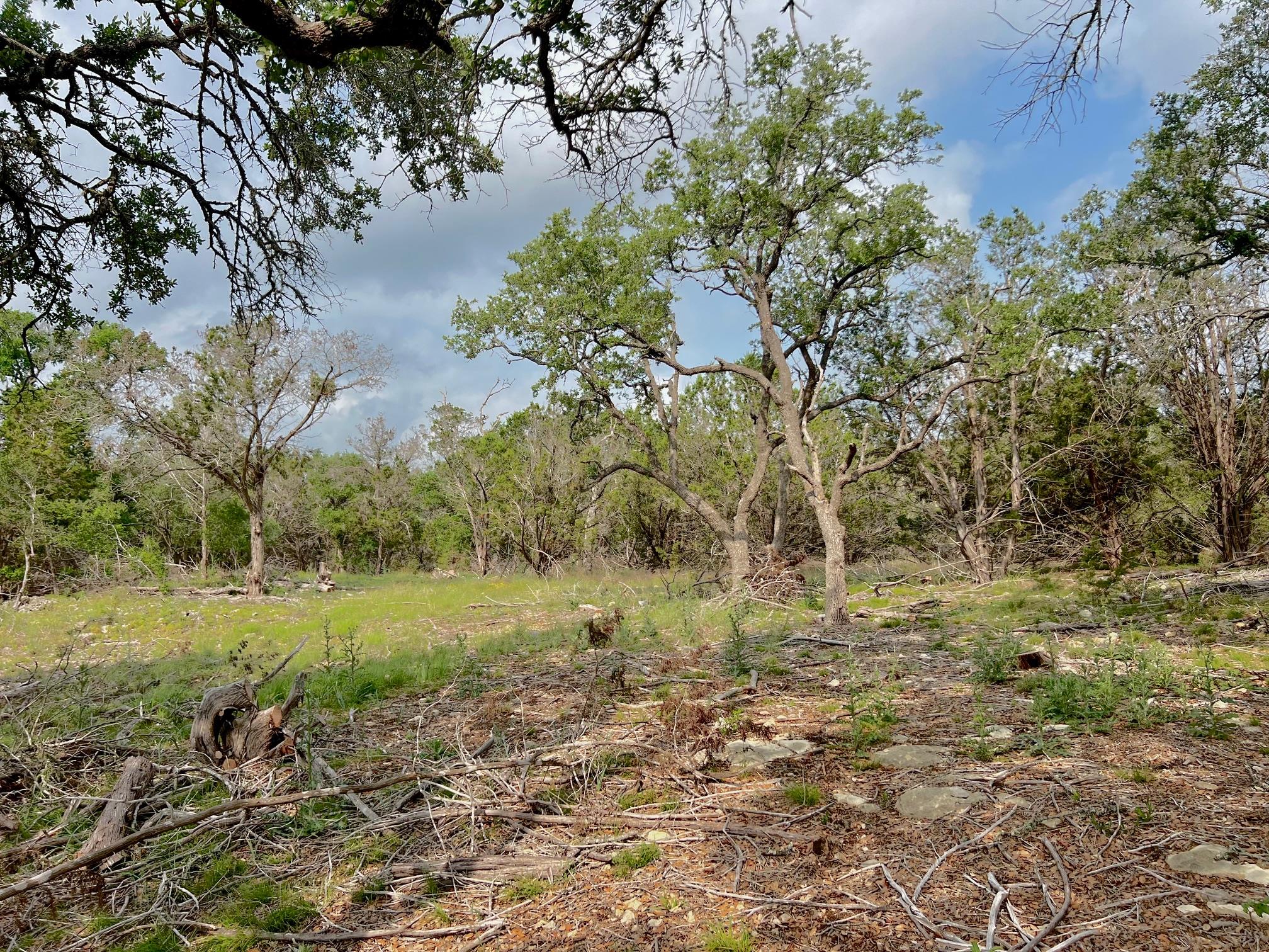 1366-E Narrows Rd, Blanco, TX 78606